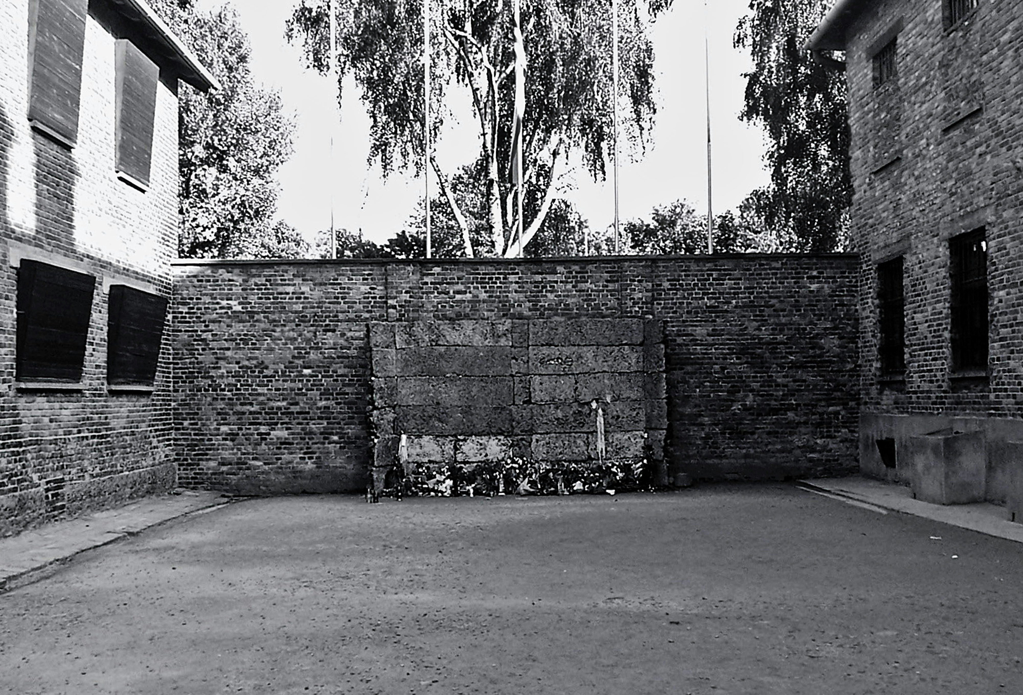 Product Review: Execution Venues and the New Latency Frontier — What Active Traders Need in 2026