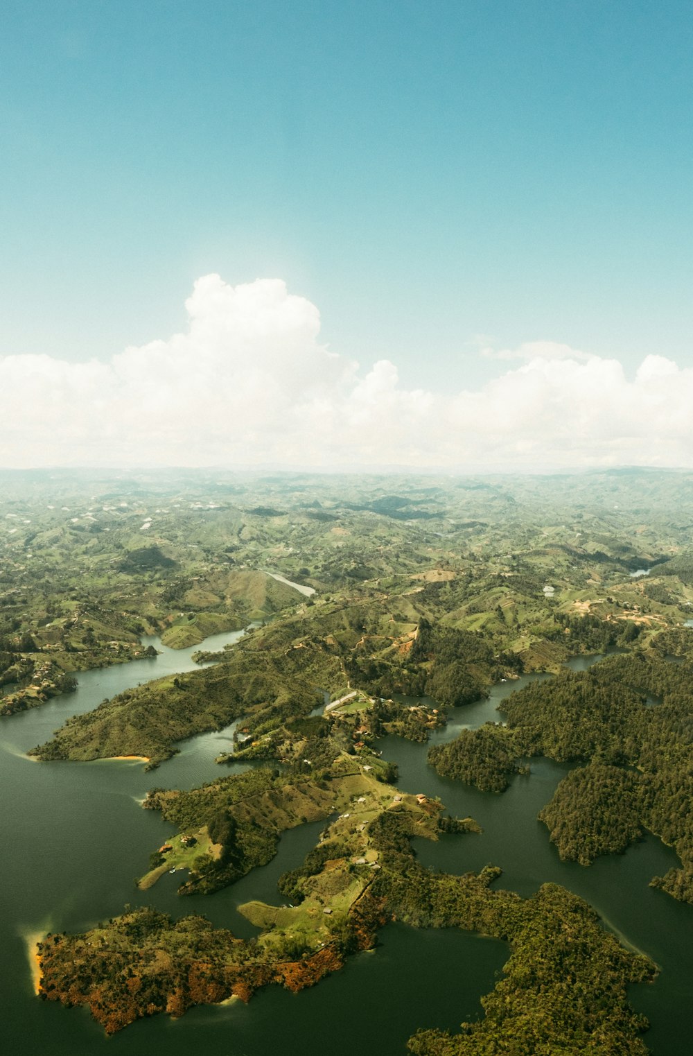 a large body of water surrounded by lush green trees