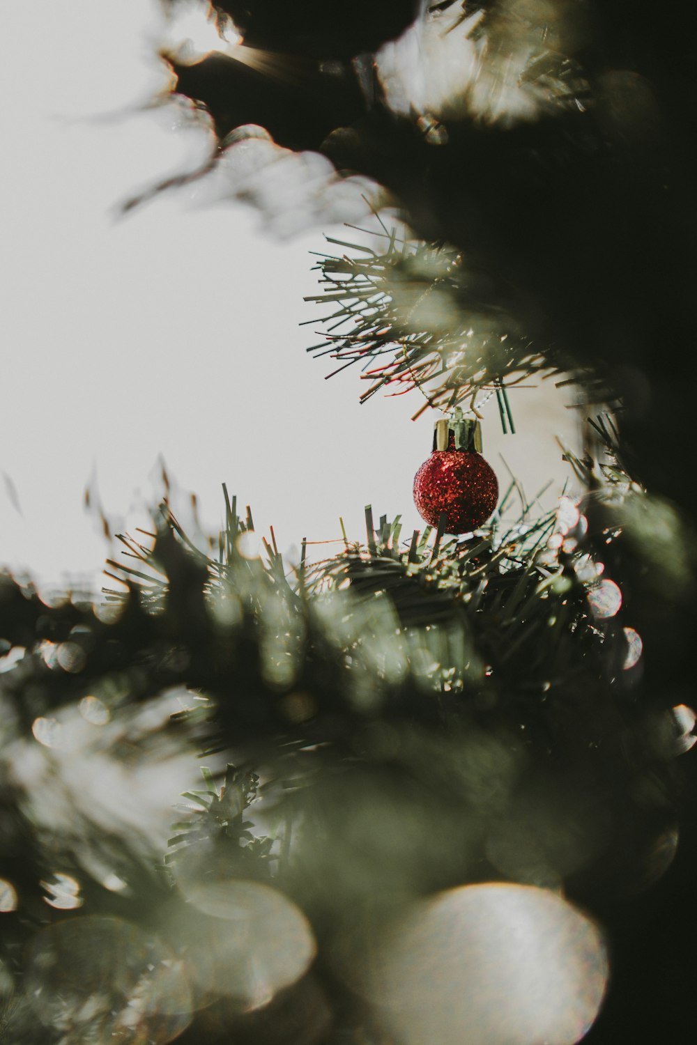 a red ornament hanging from a pine tree