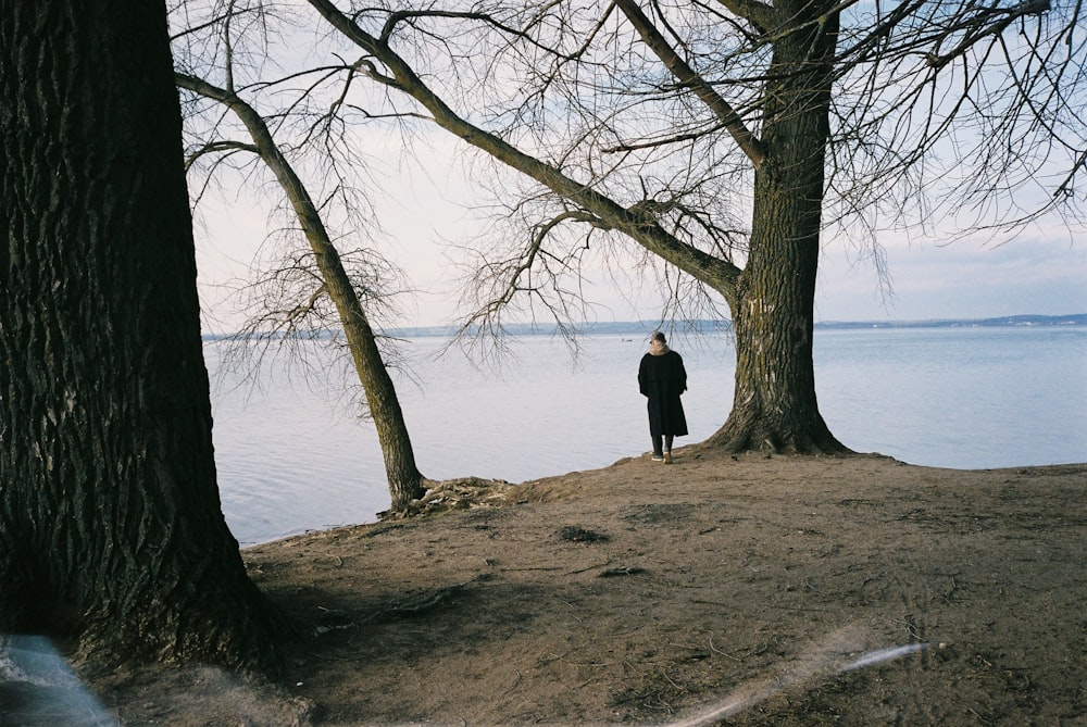 a person standing next to a tree near a body of water