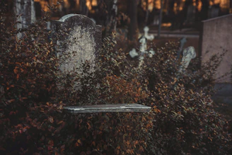 a grave surrounded by bushes and trees in a cemetery