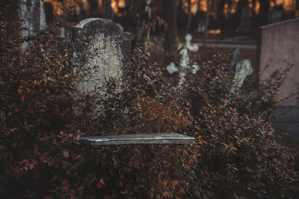 a grave surrounded by bushes and trees in a cemetery