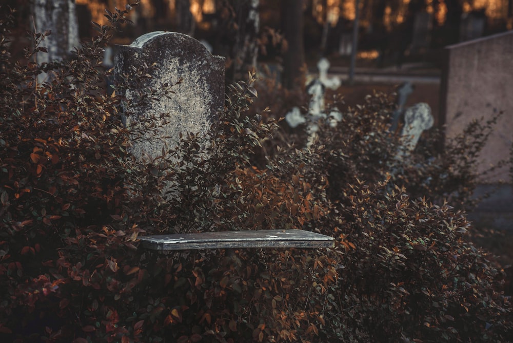 a grave surrounded by bushes and trees in a cemetery