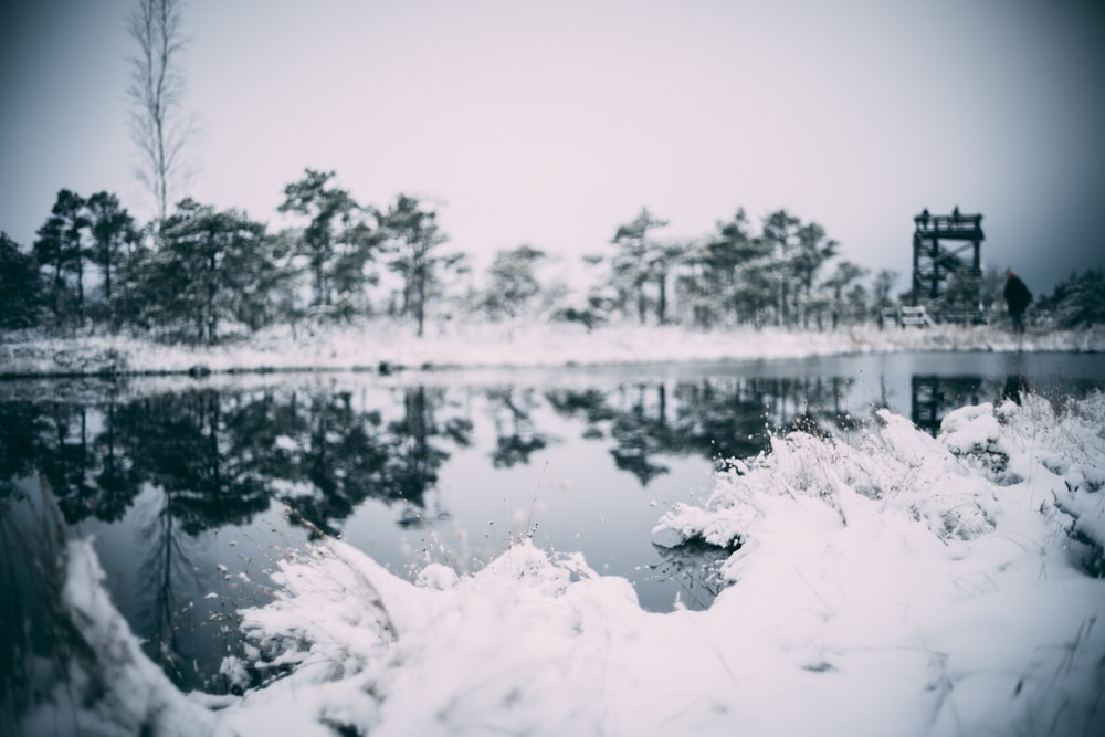 a lake with snow on the ground and trees in the background