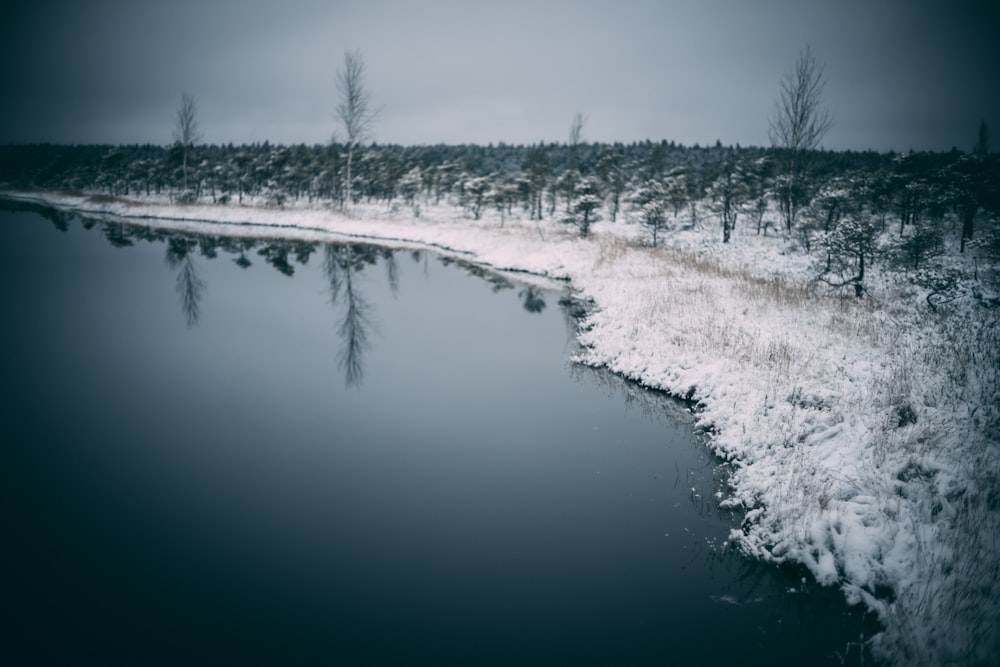 a snowy landscape with trees and a body of water