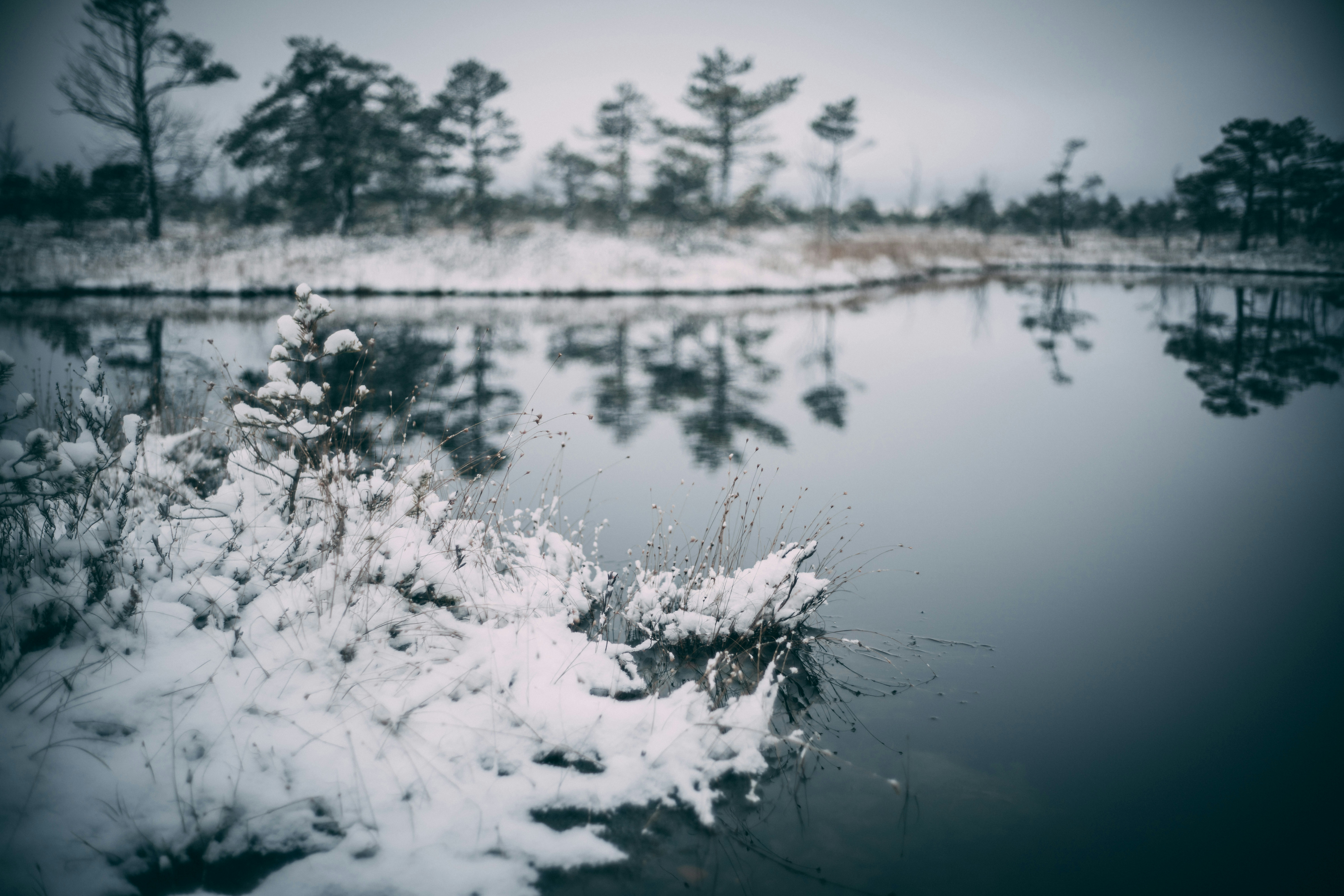 Photo by raimondklavins