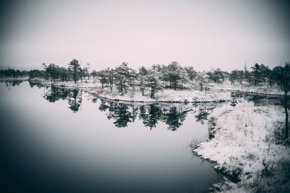 a lake surrounded by trees covered in snow