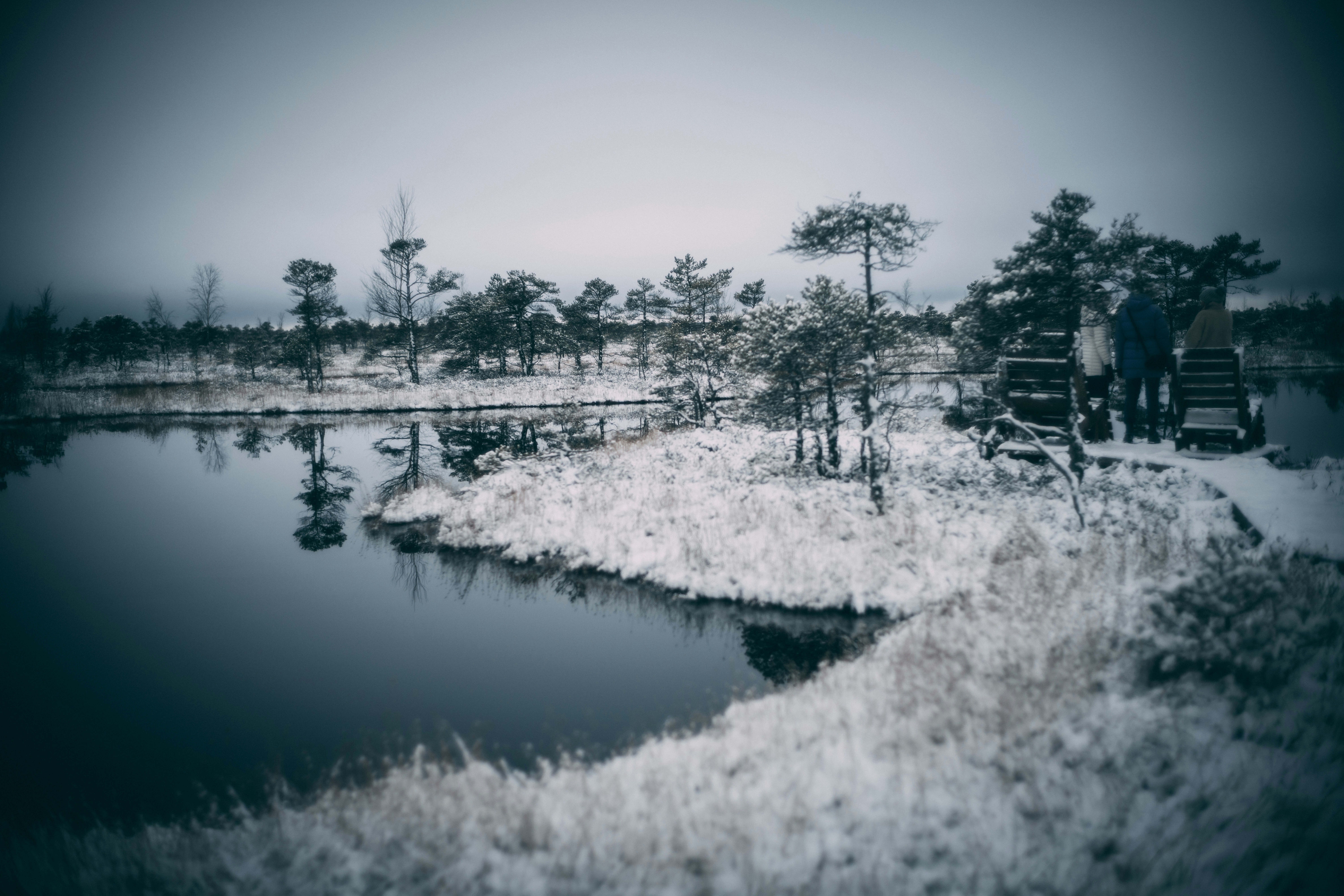 Photo by raimondklavins