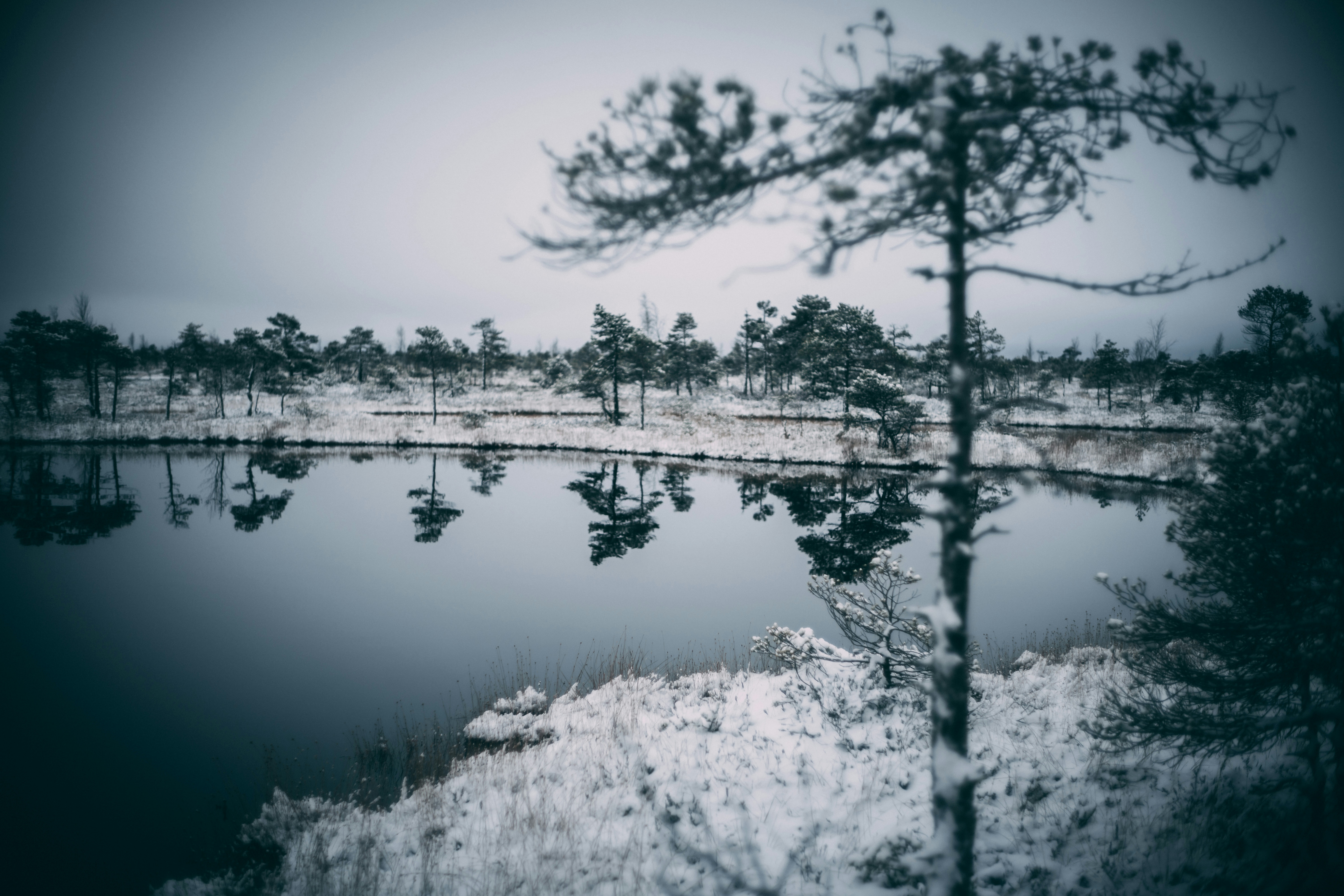 Photo by raimondklavins