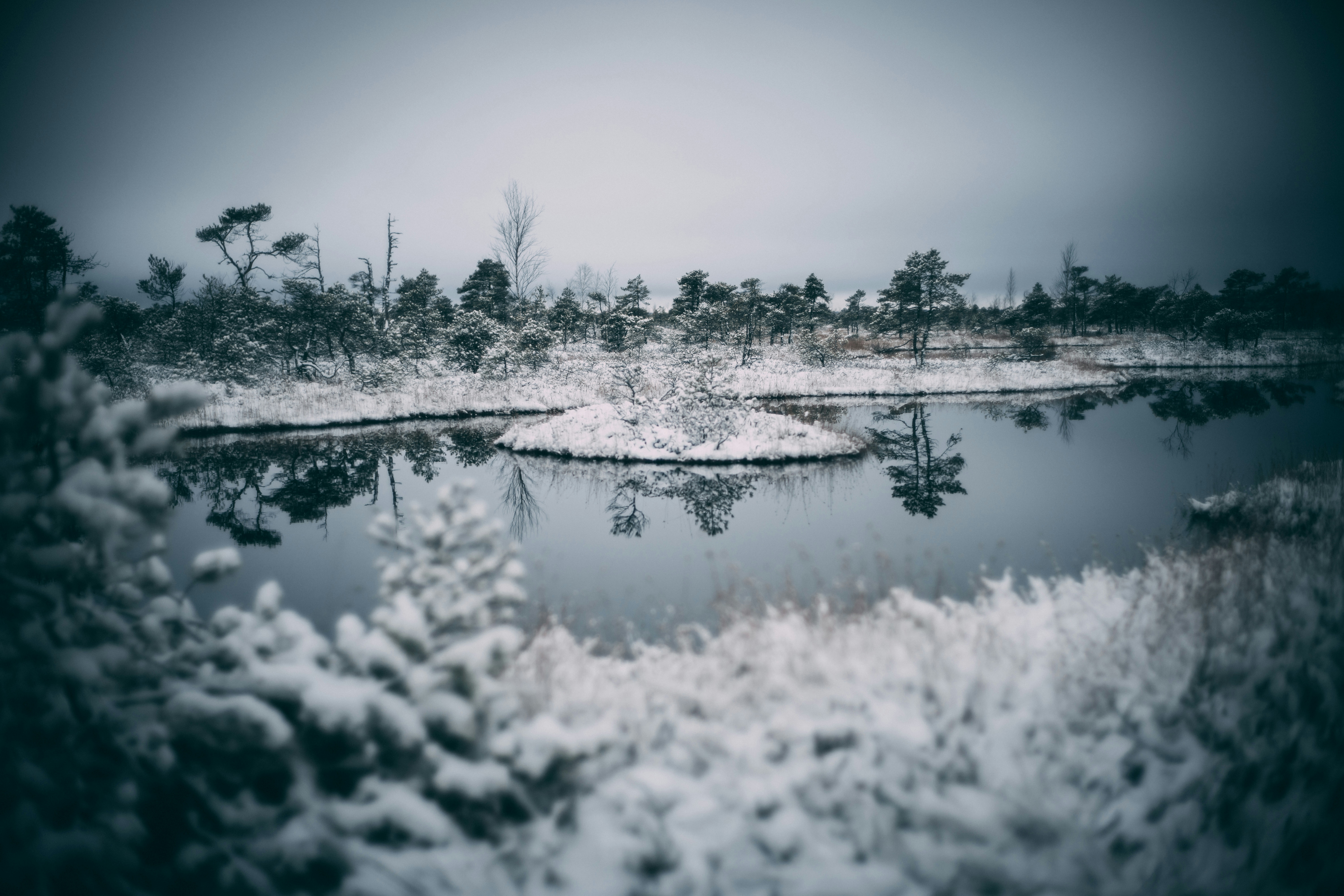 Photo by raimondklavins