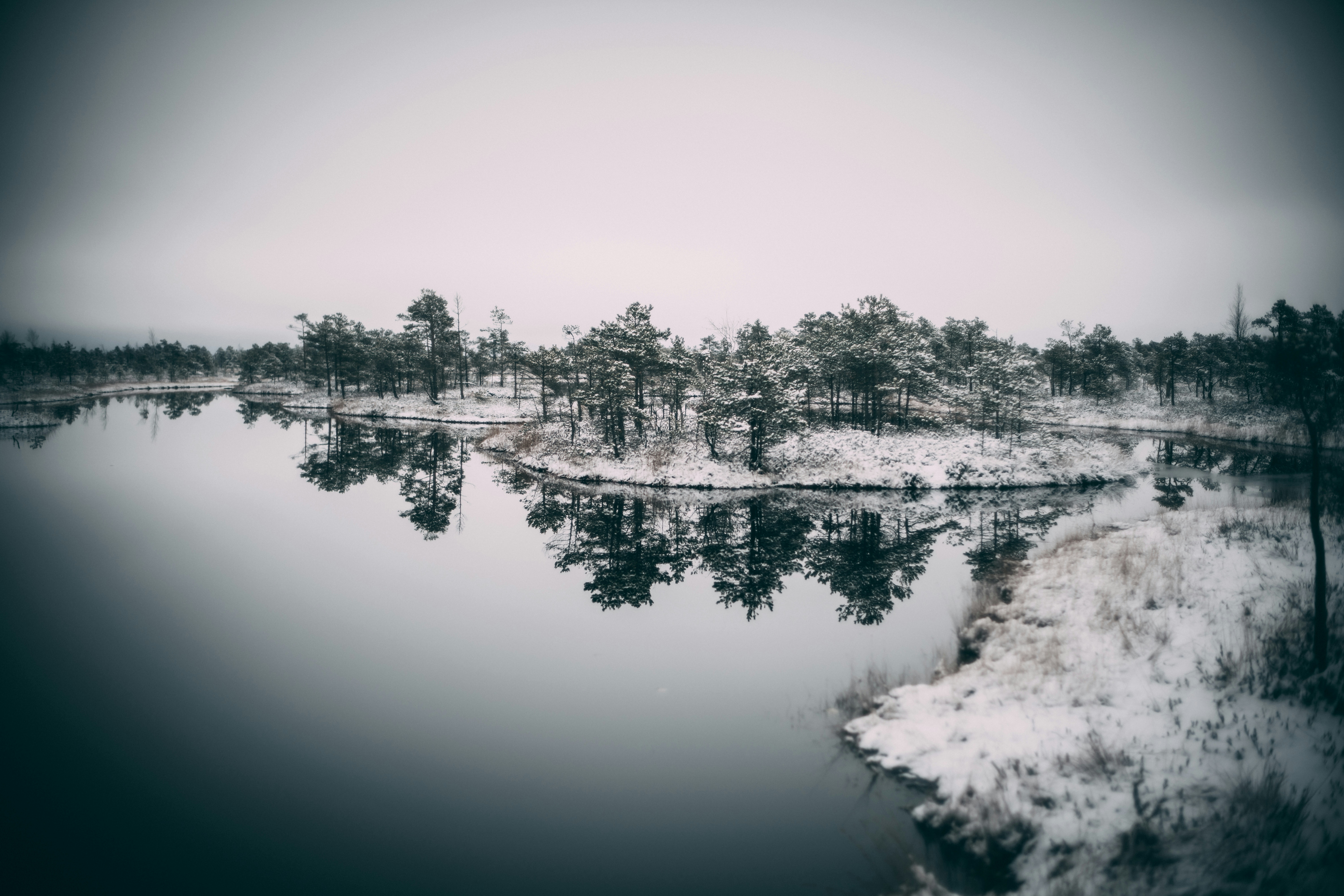 Photo by raimondklavins