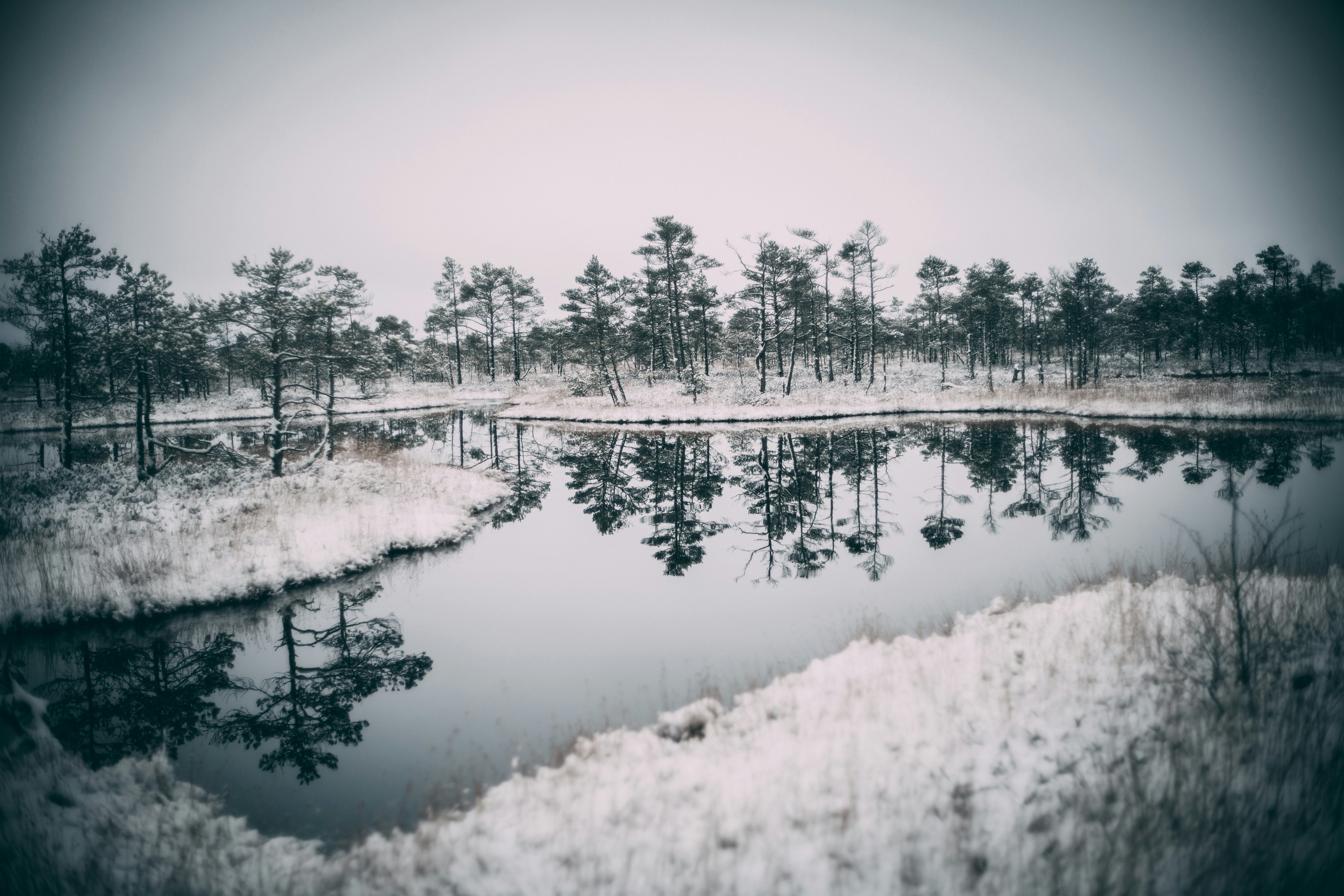 Photo by raimondklavins