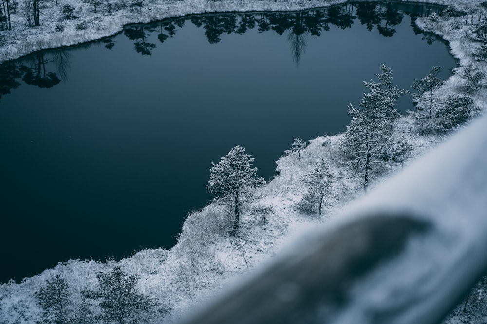 a lake surrounded by trees covered in snow