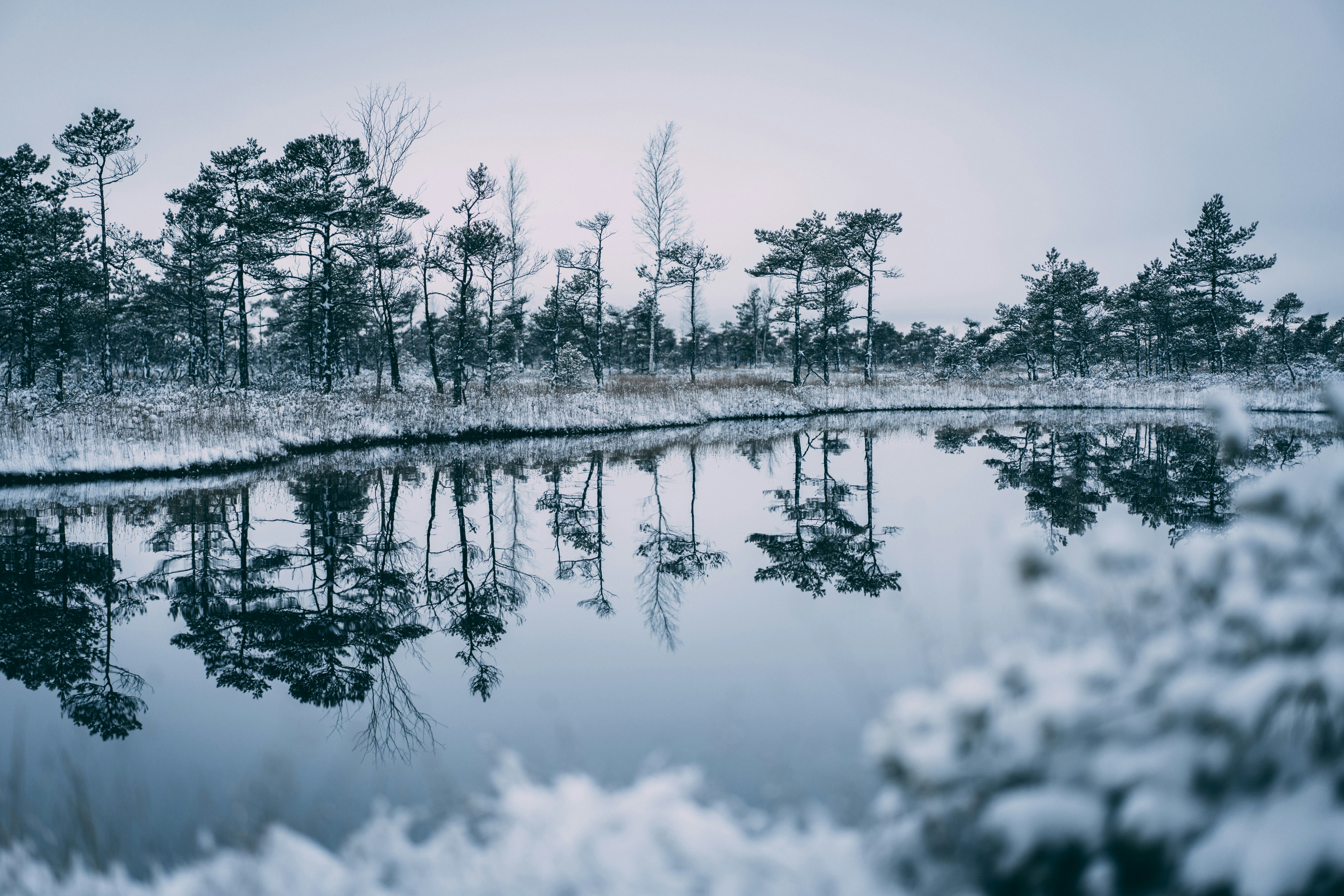 Photo by raimondklavins