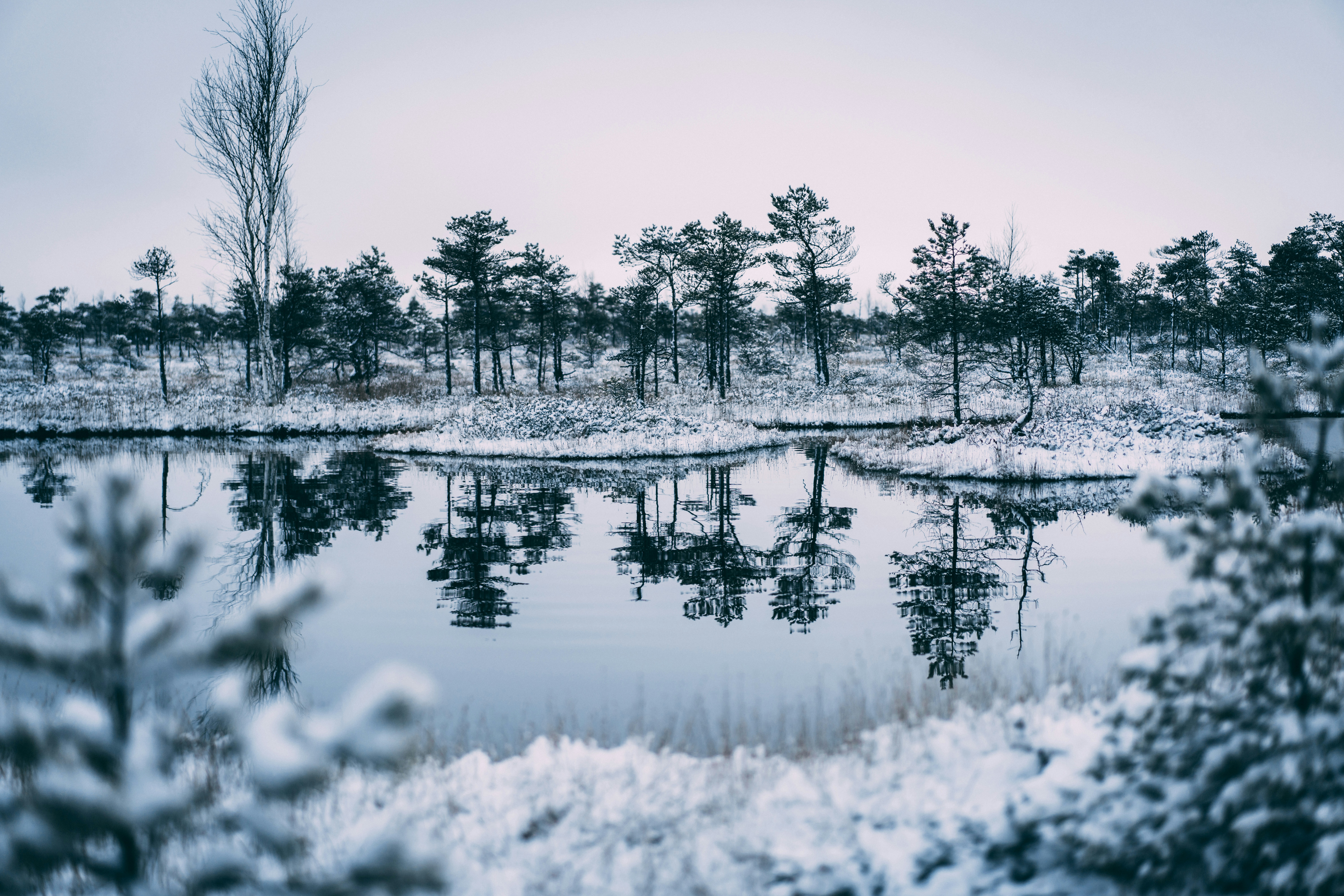 Photo by raimondklavins