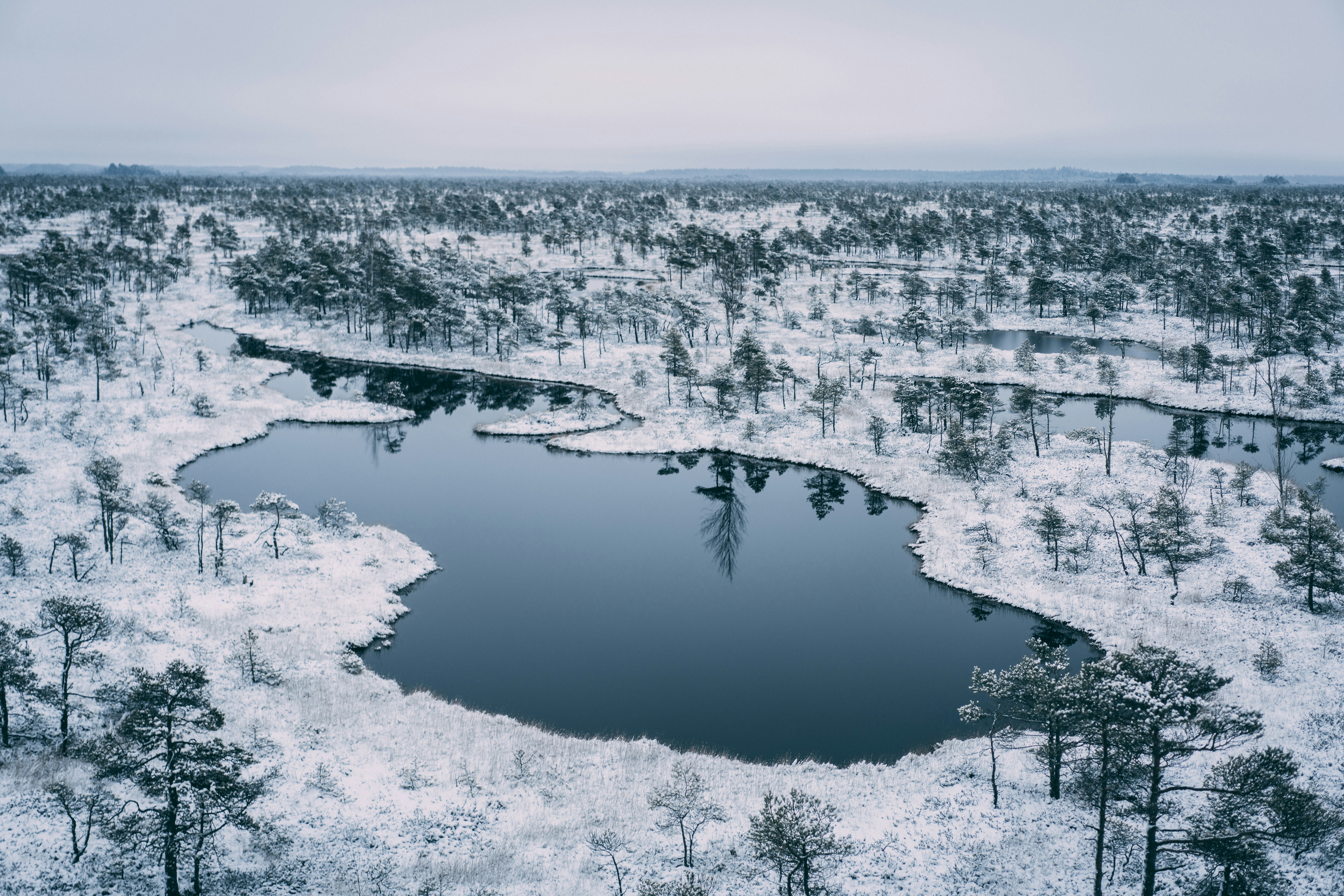 Photo by raimondklavins