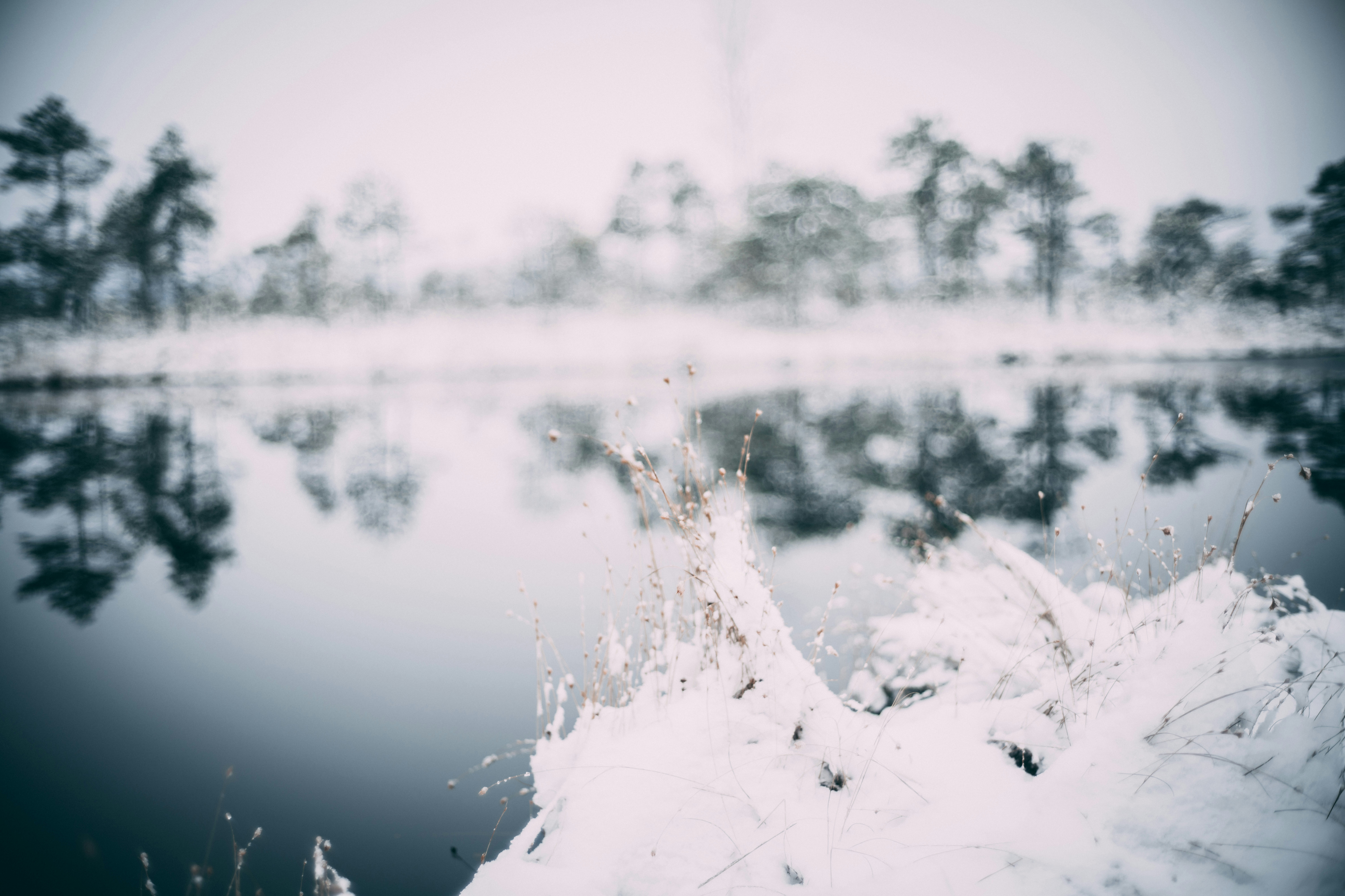 Photo by raimondklavins