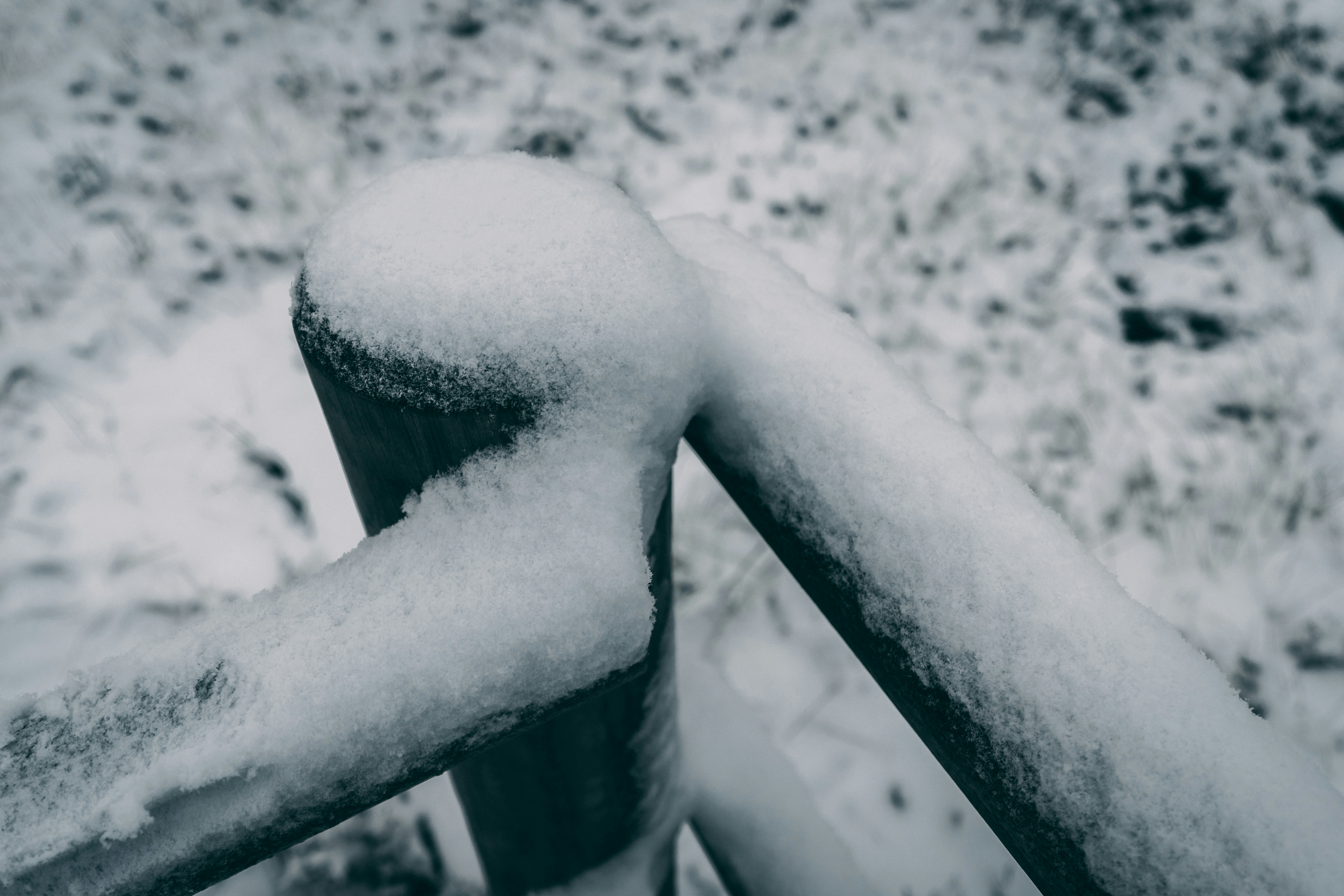 Photo by raimondklavins