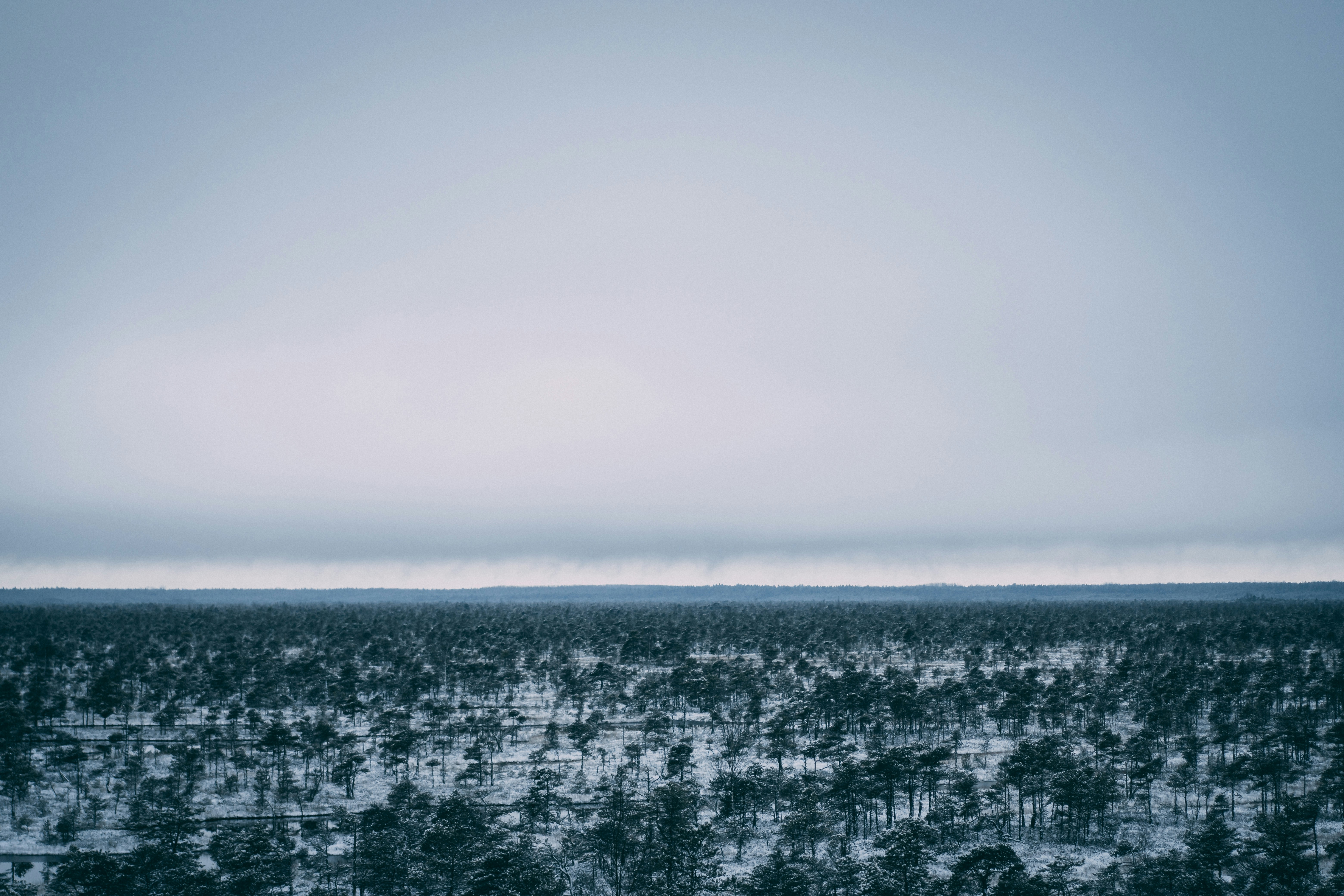 Photo by raimondklavins