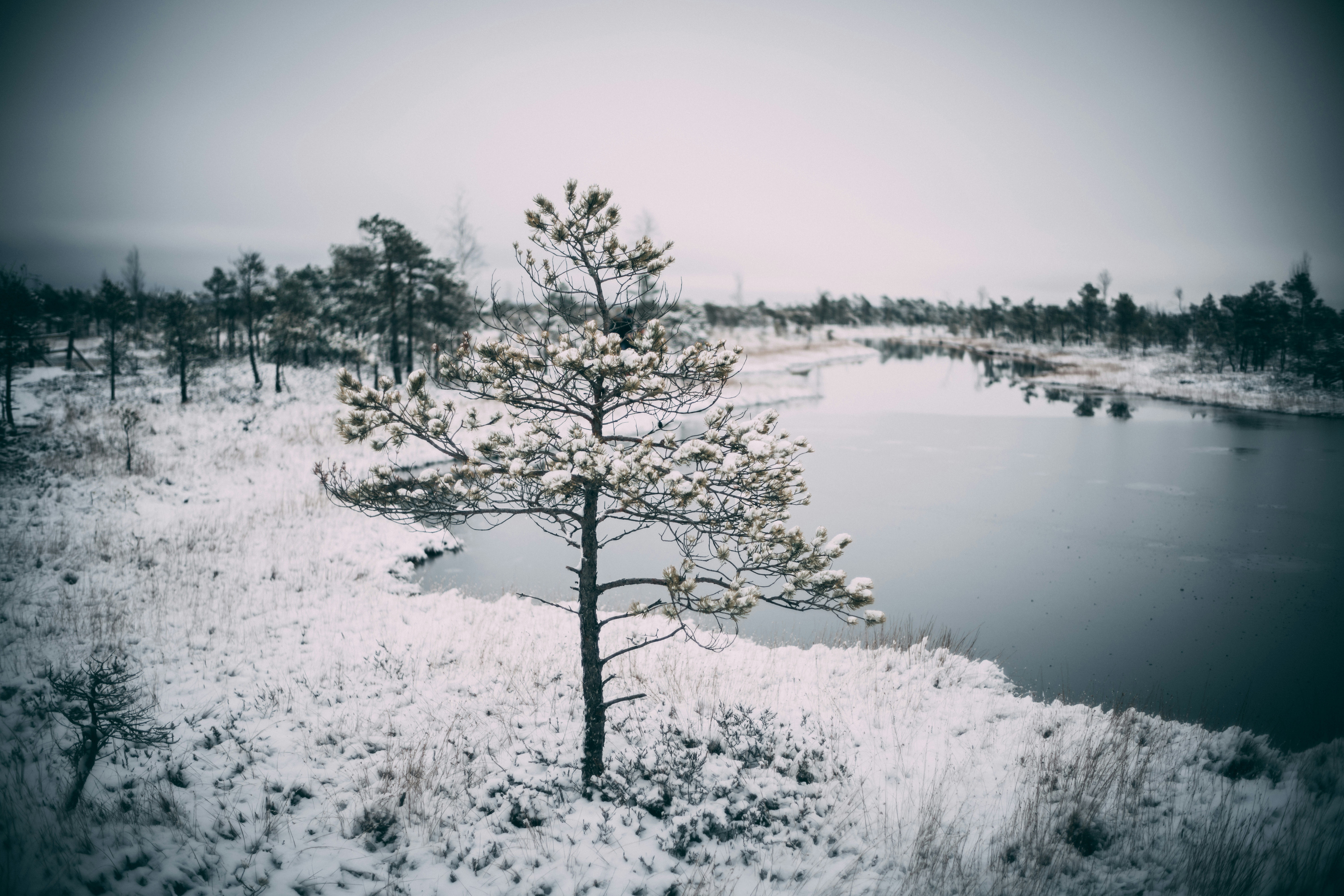 Photo by raimondklavins