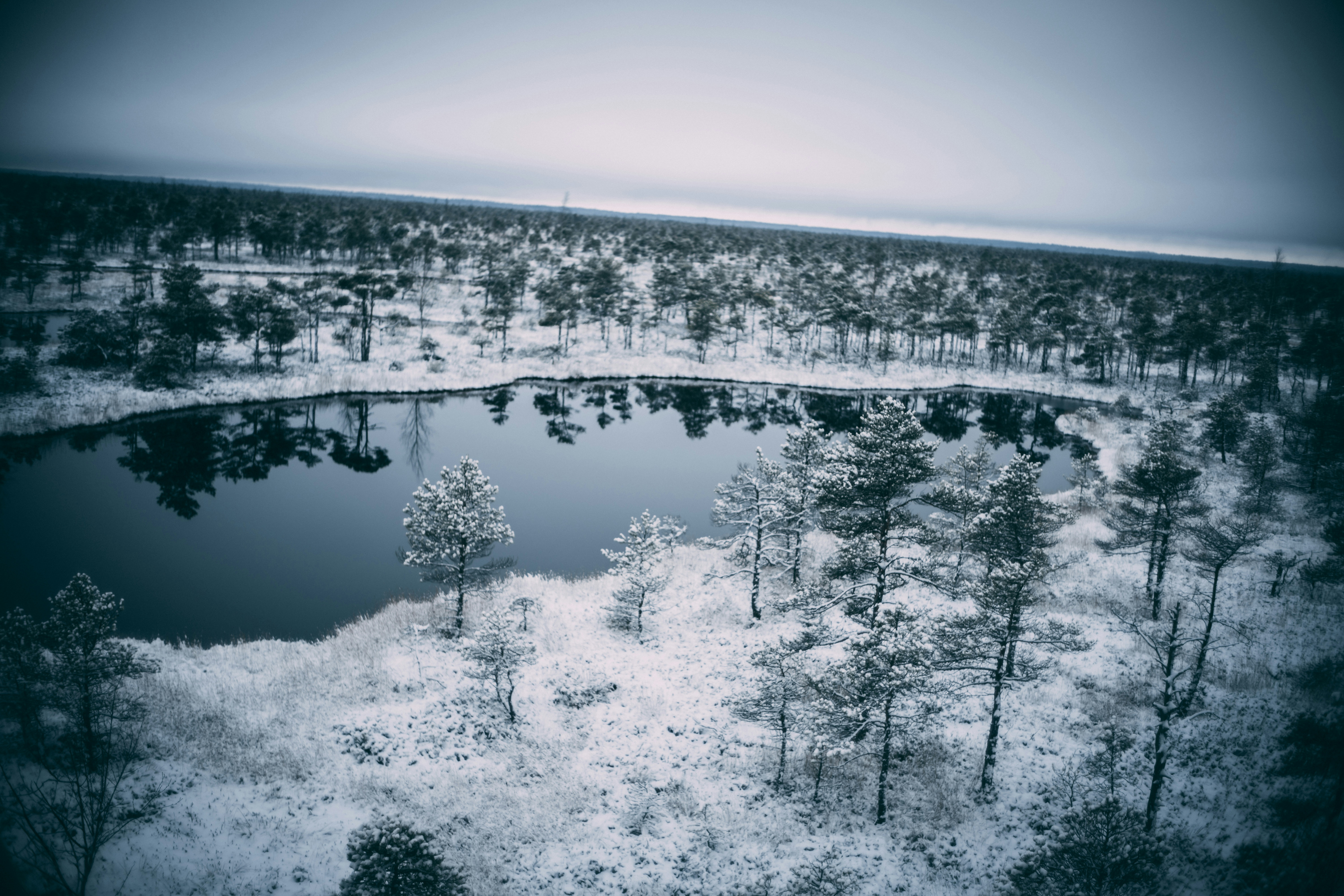 Photo by raimondklavins