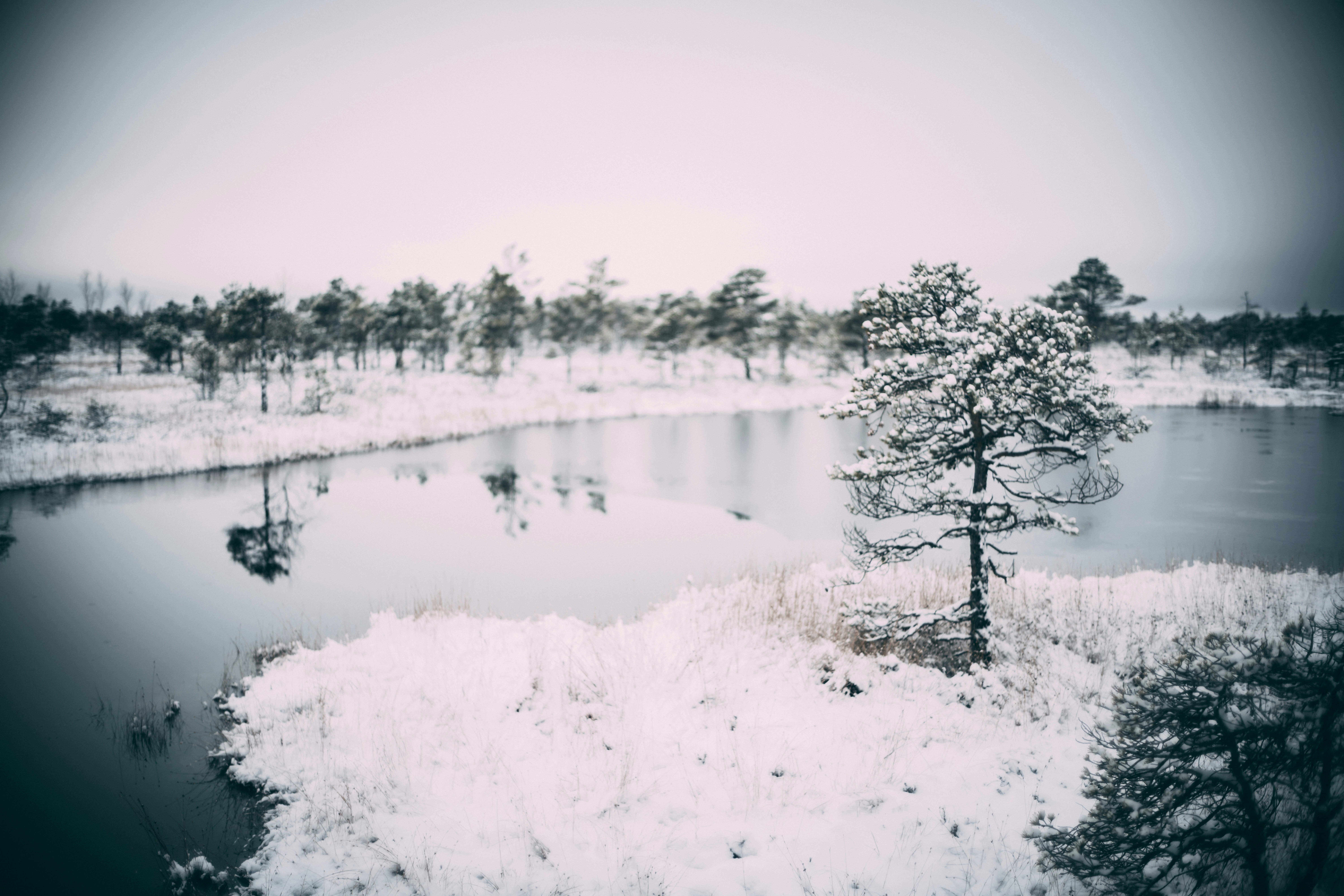 Photo by raimondklavins