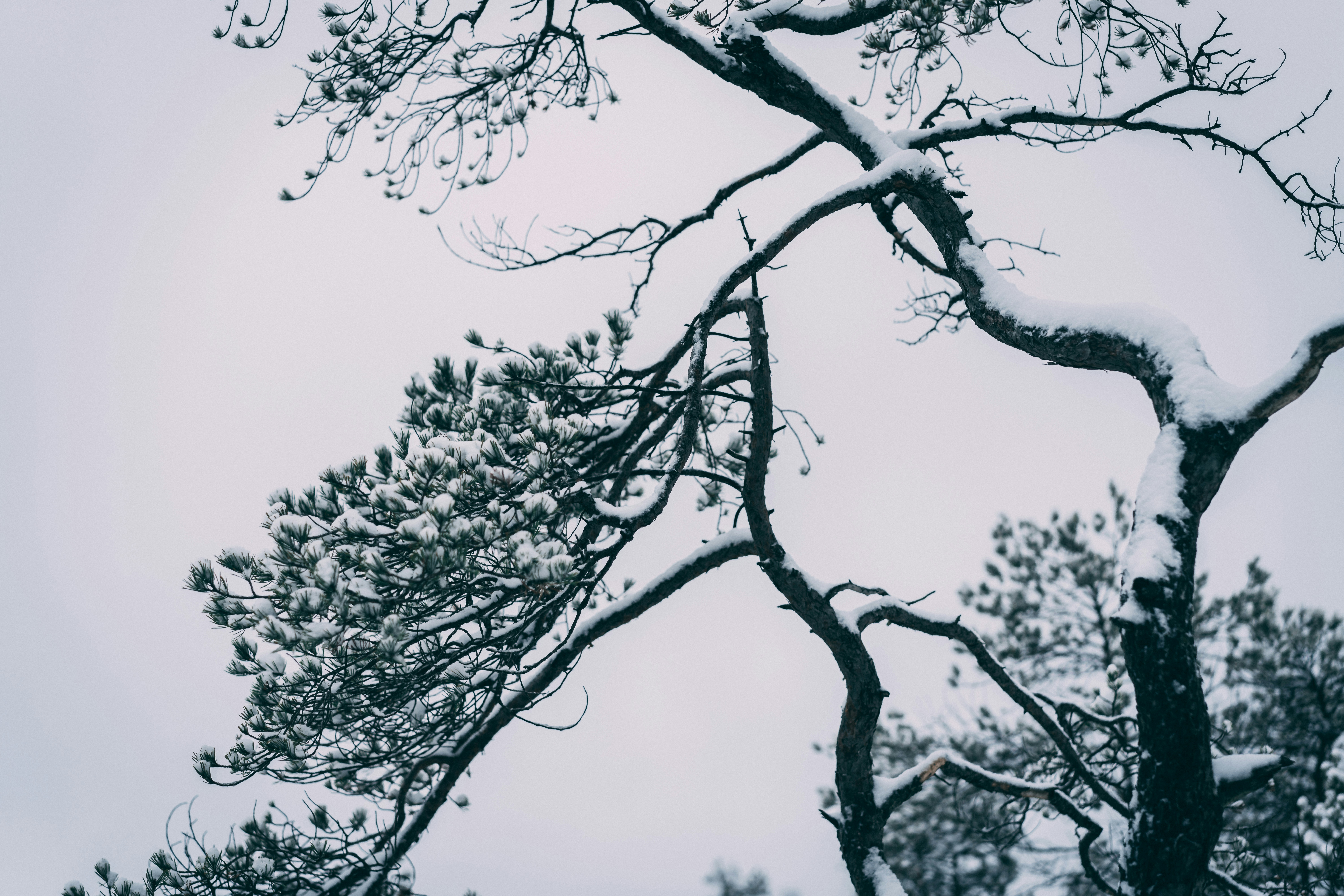 Photo by raimondklavins