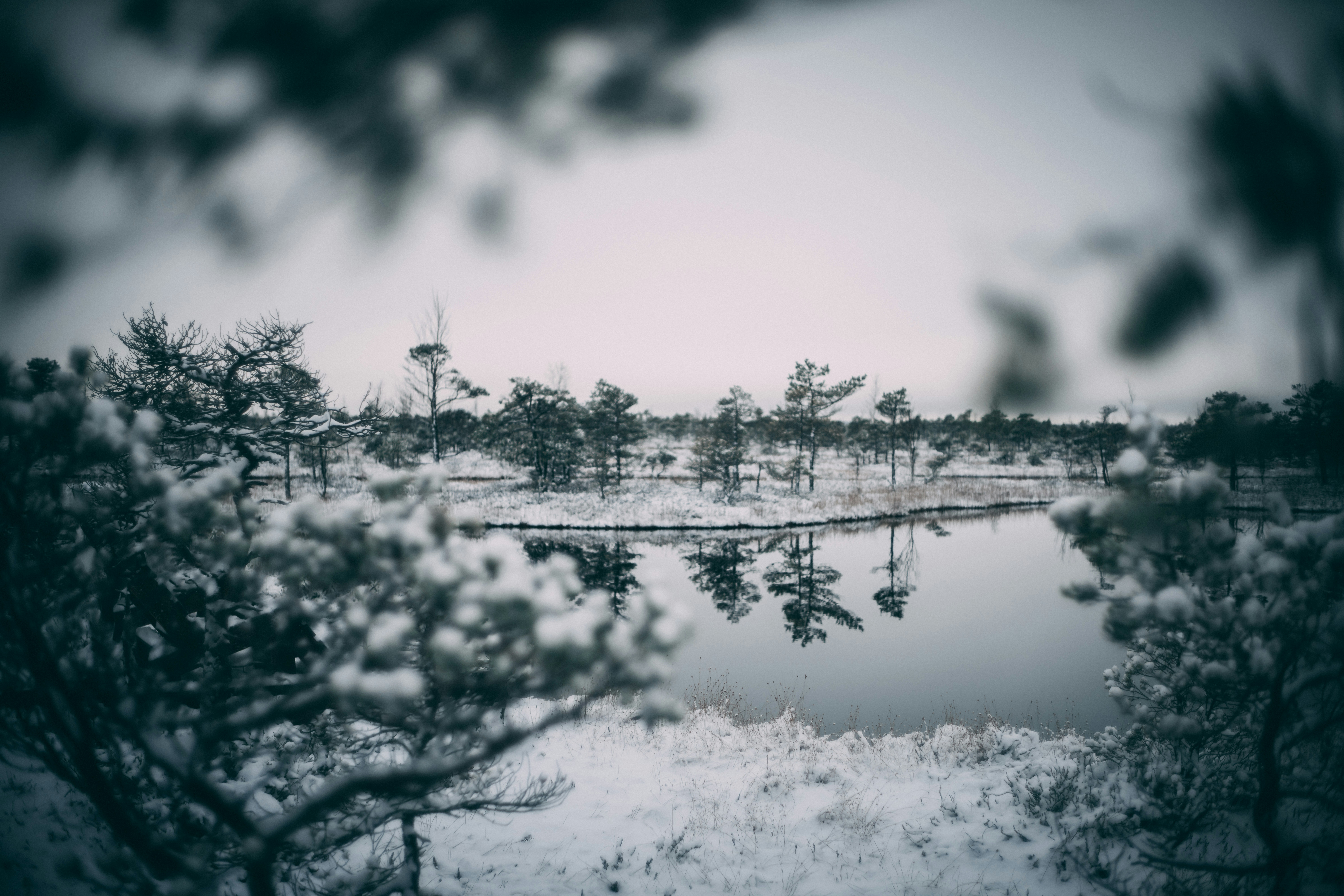 Photo by raimondklavins