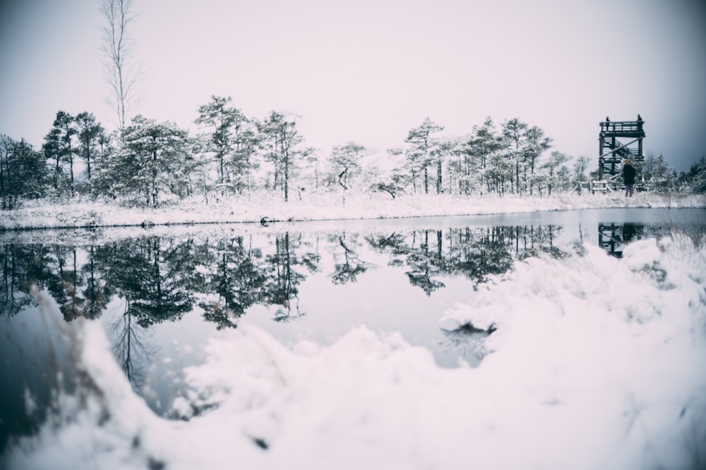 a body of water surrounded by snow covered trees