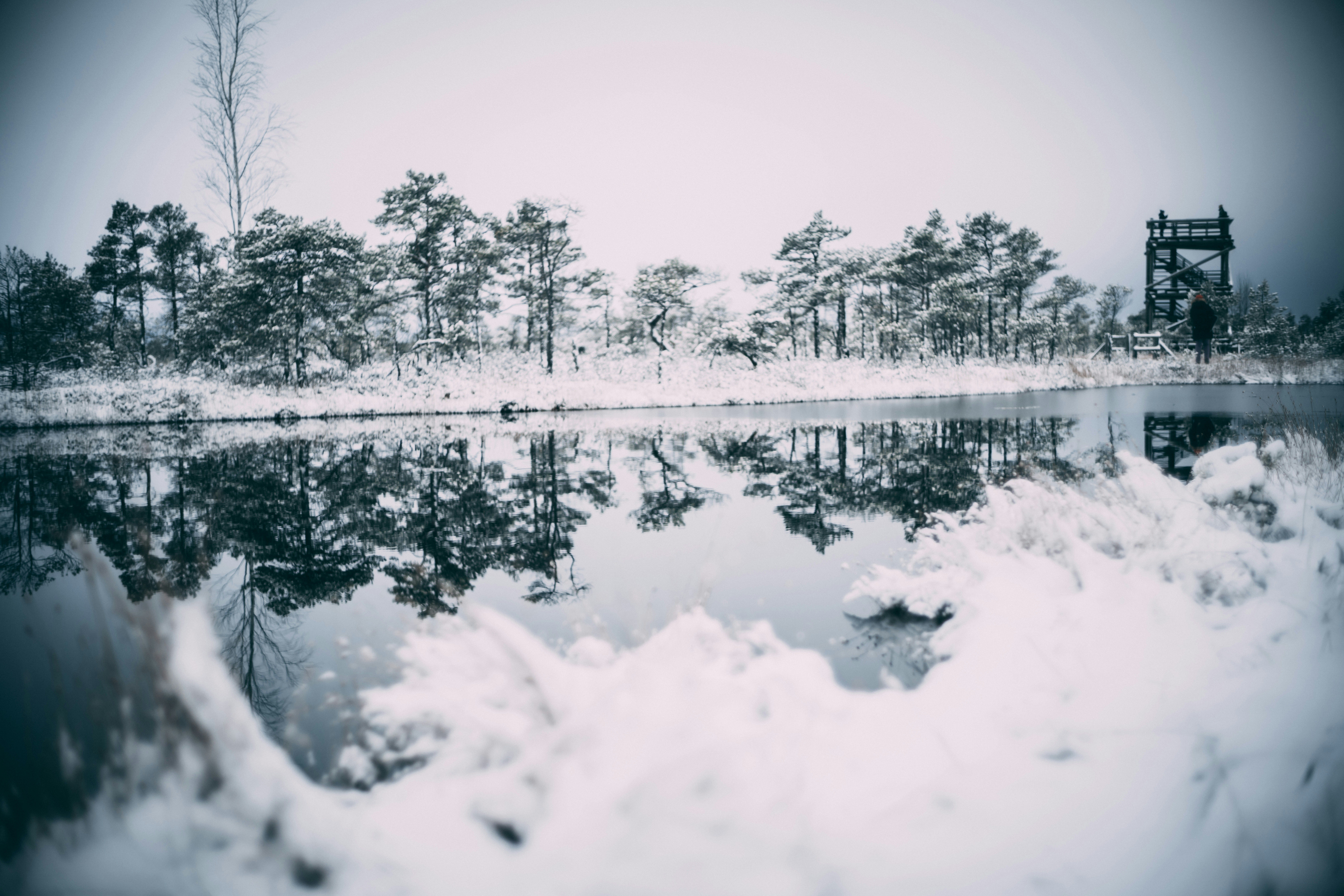 Photo by raimondklavins