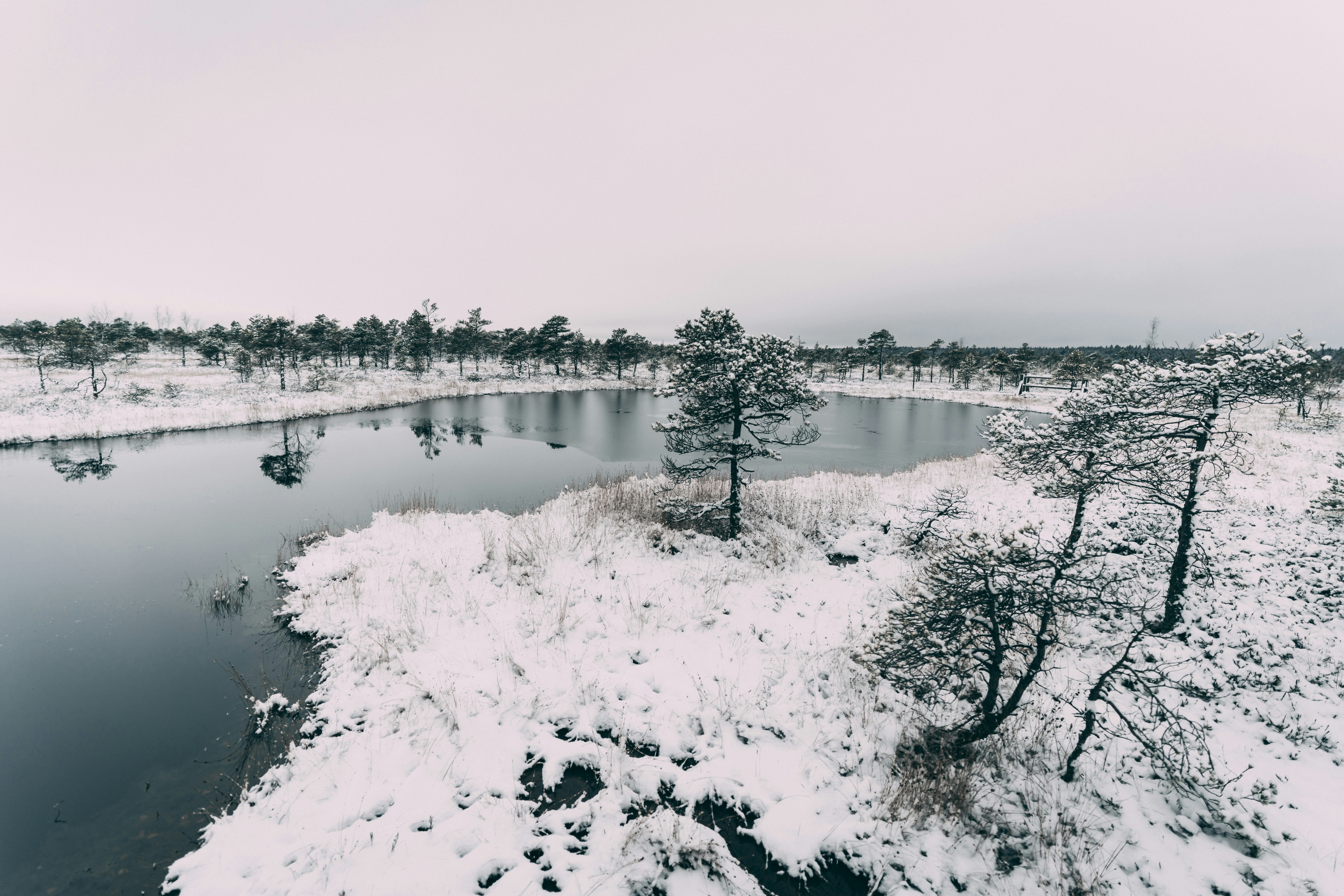 Photo by raimondklavins