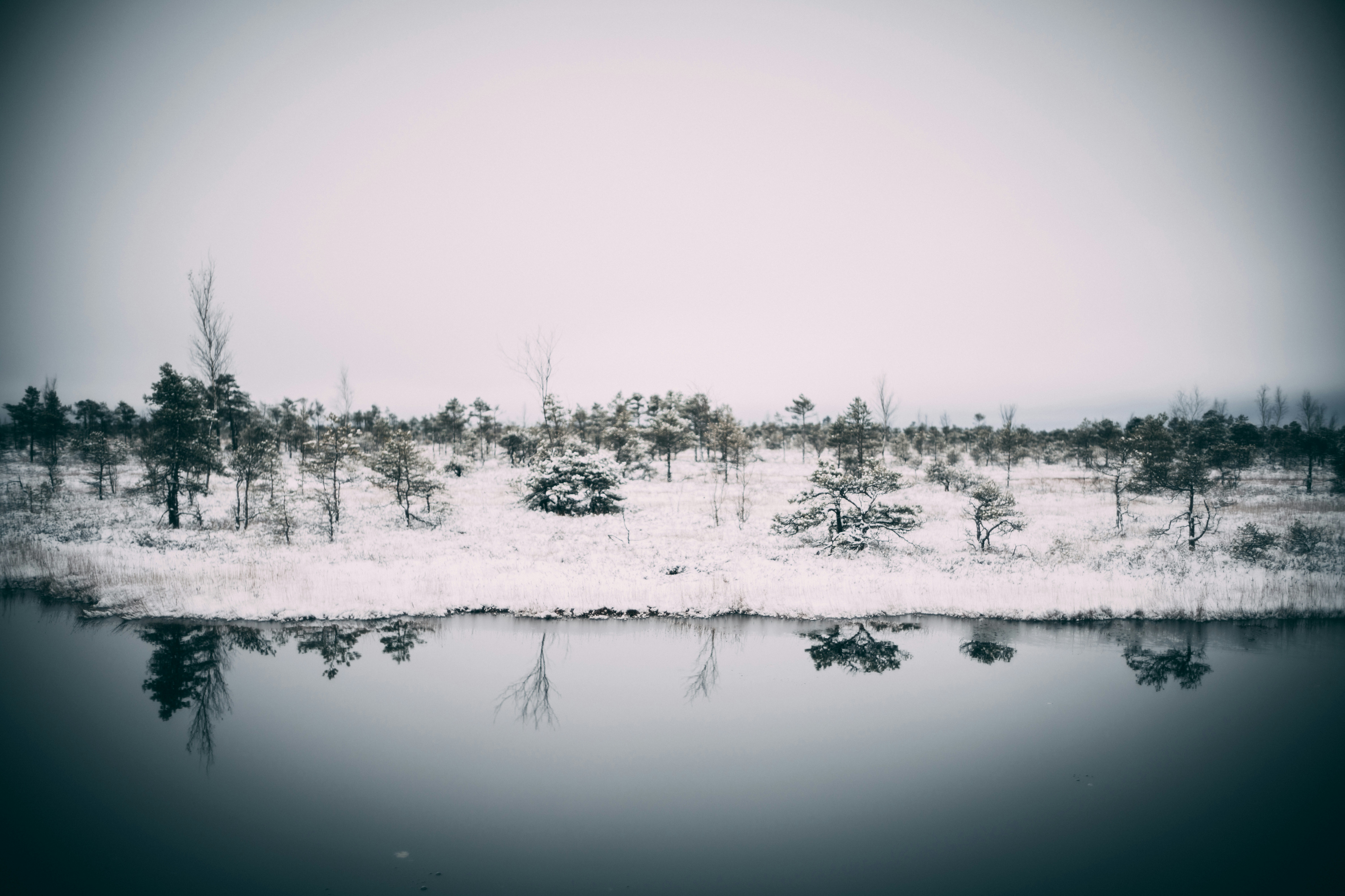 Photo by raimondklavins