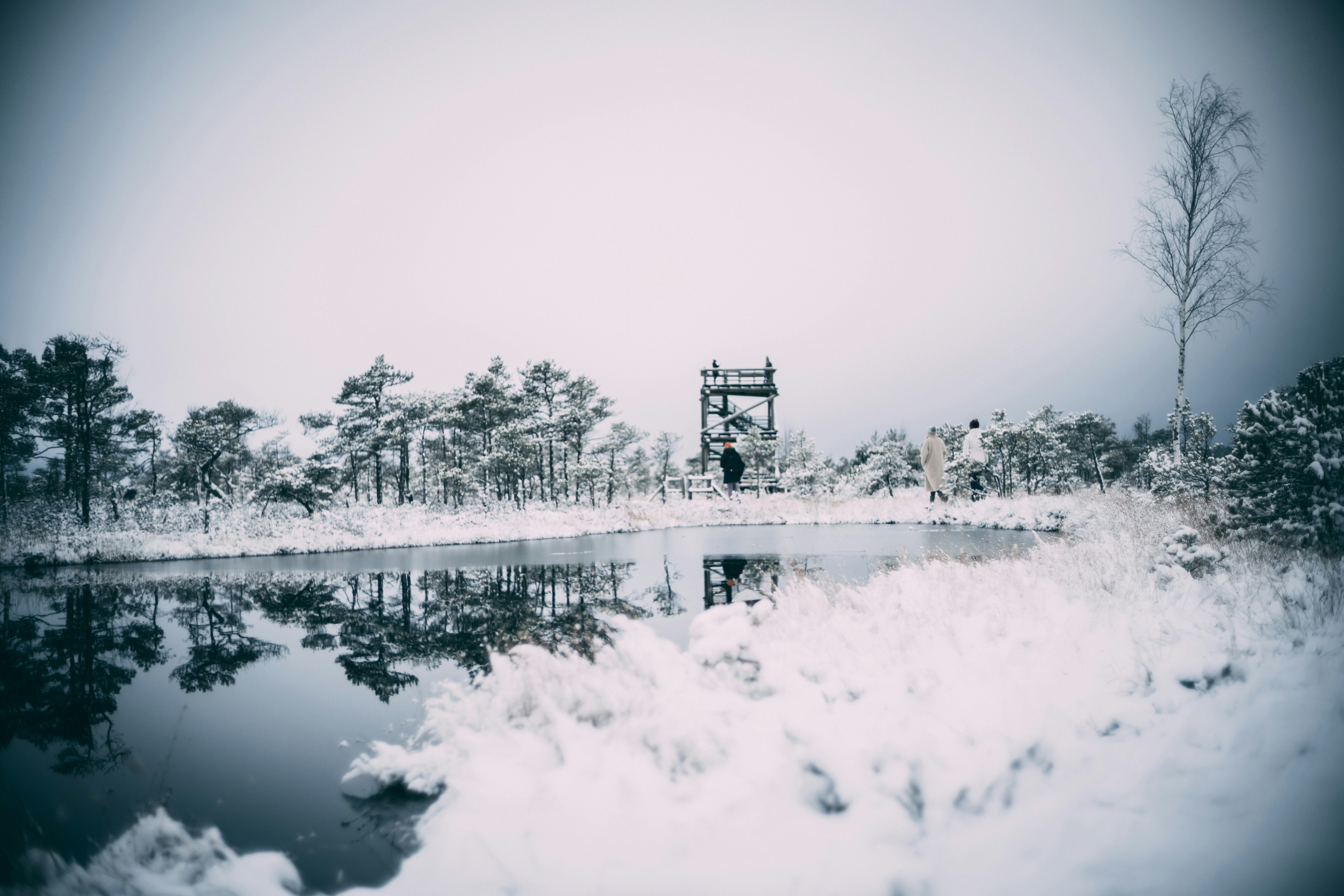 Photo by raimondklavins