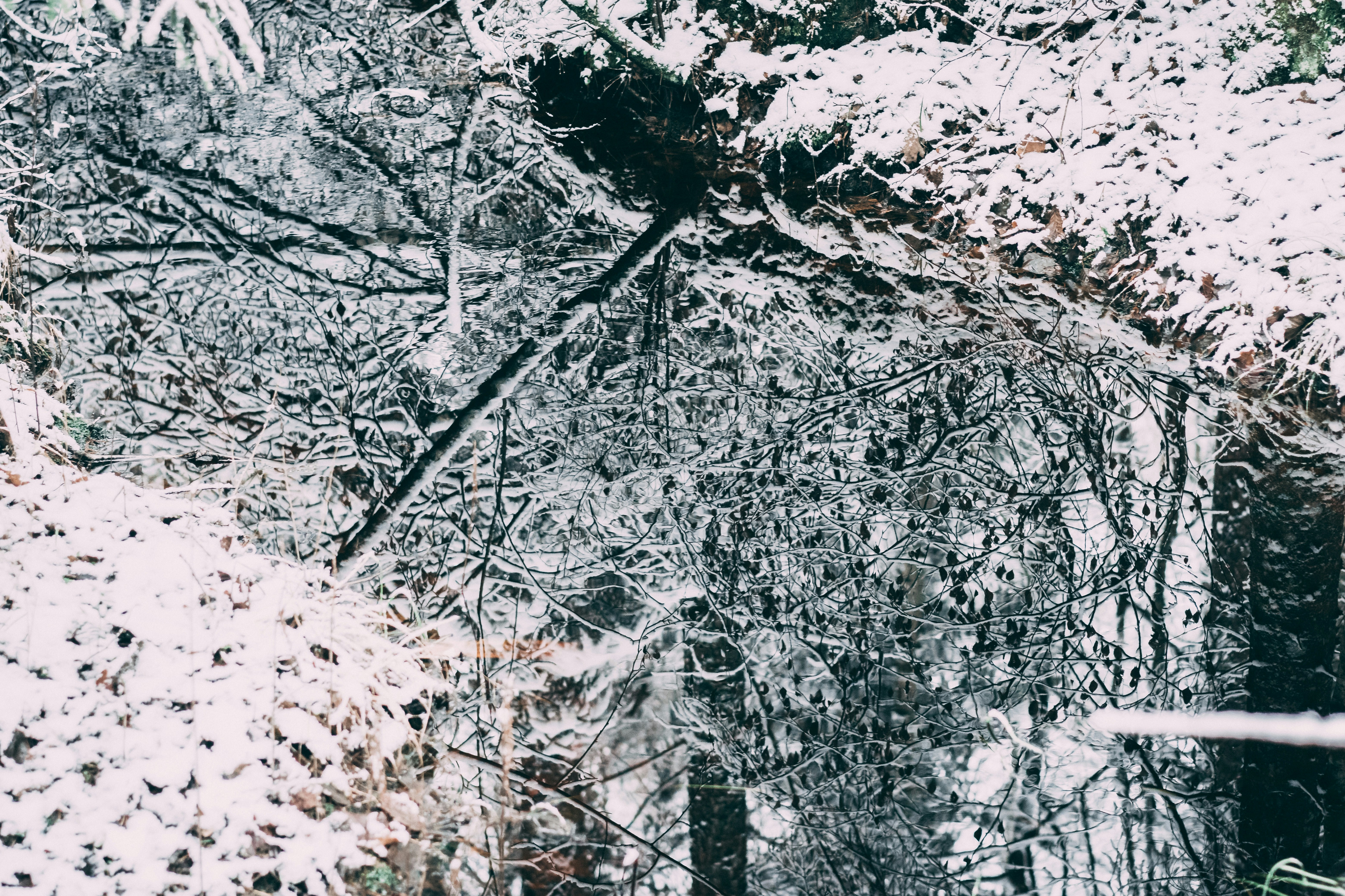 Photo by raimondklavins