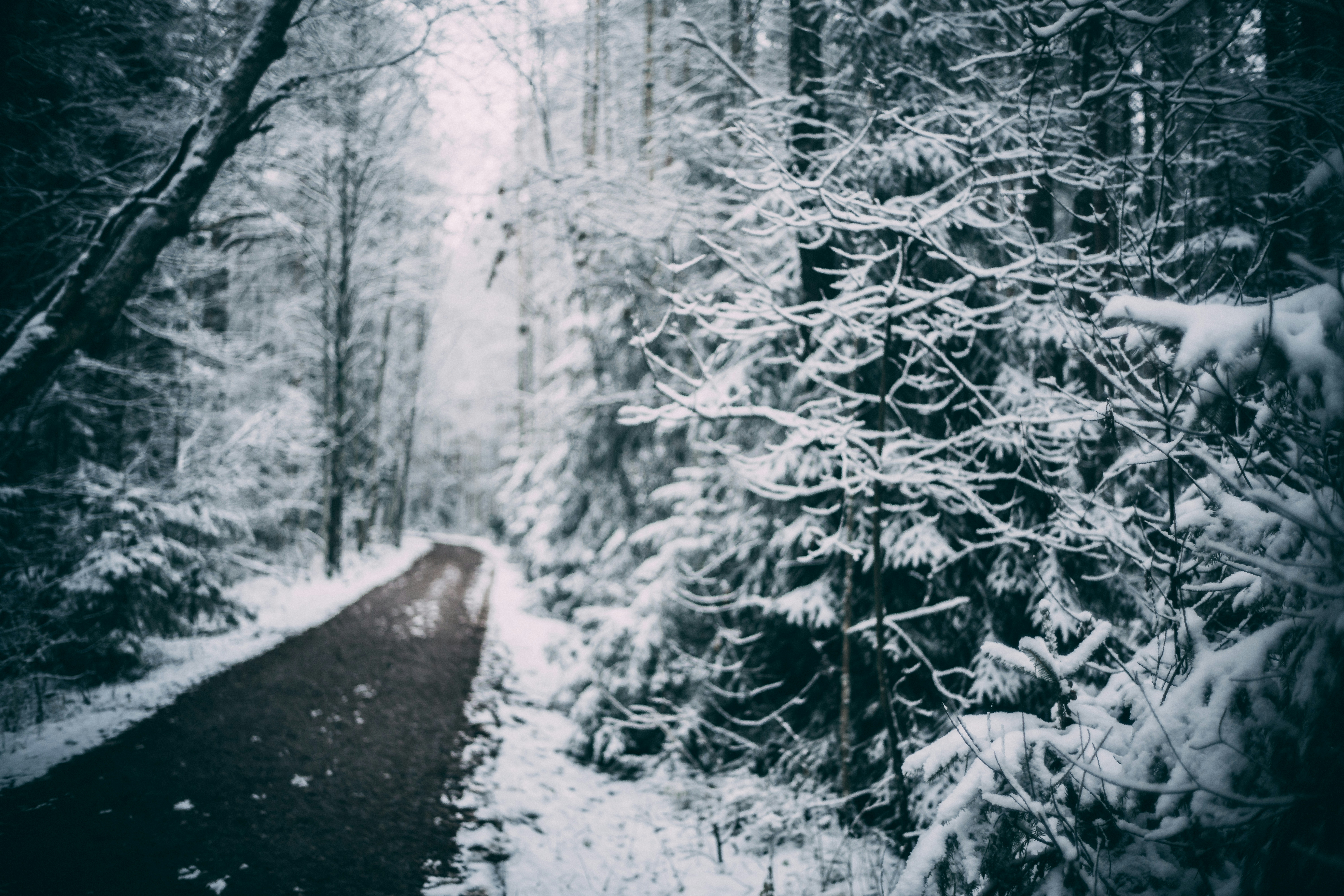 Photo by raimondklavins