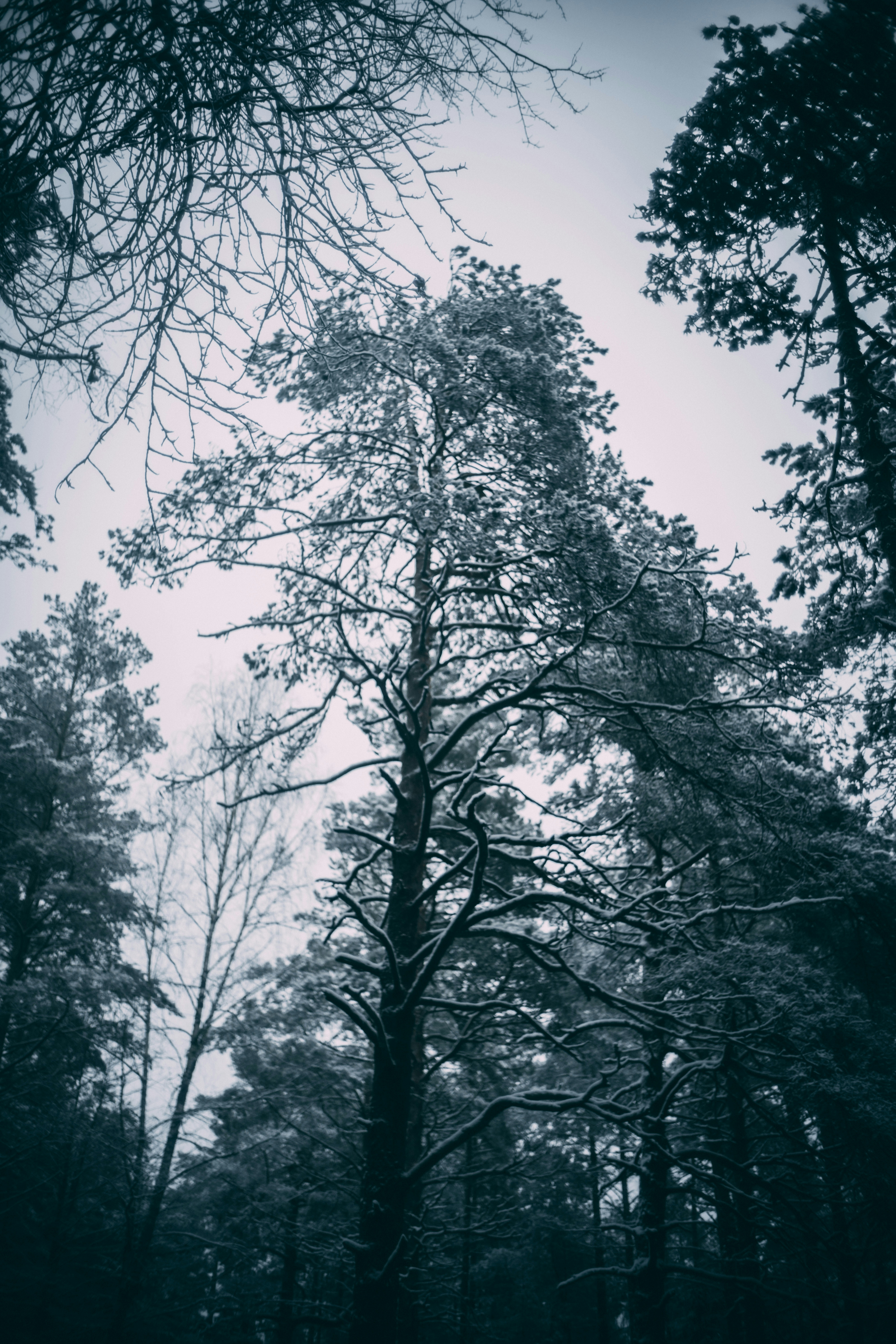 Photo by raimondklavins