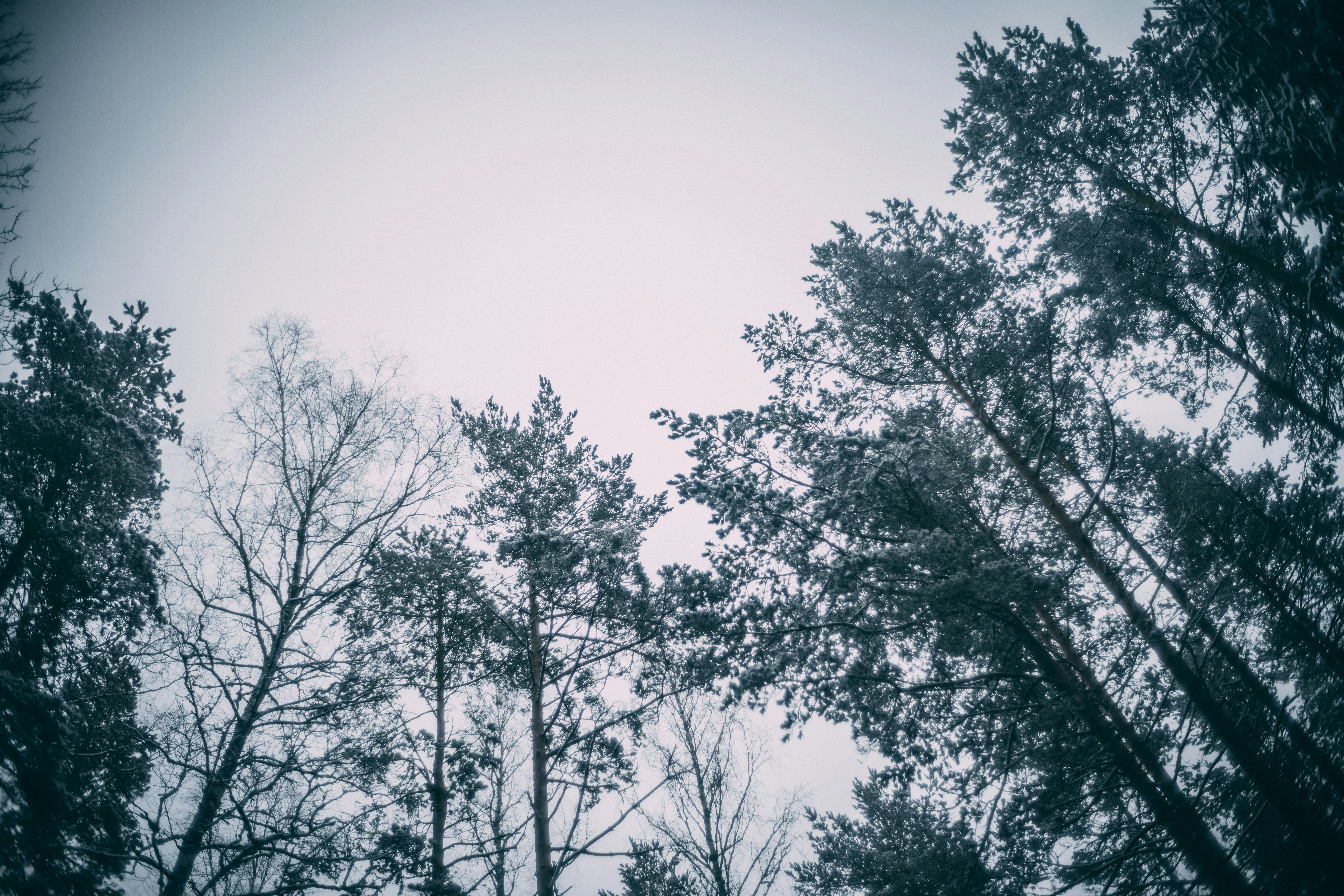 Photo by raimondklavins