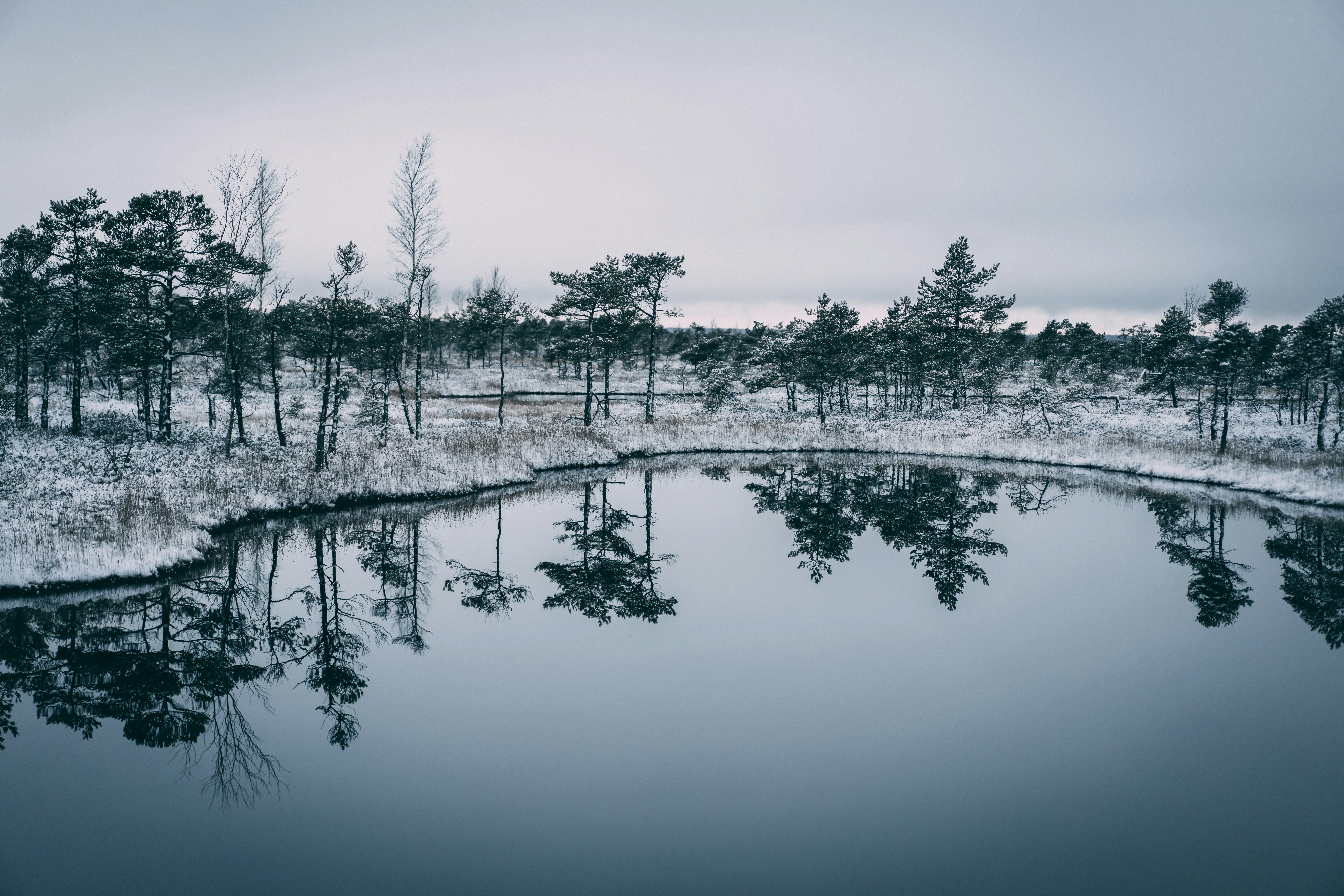 Photo by raimondklavins