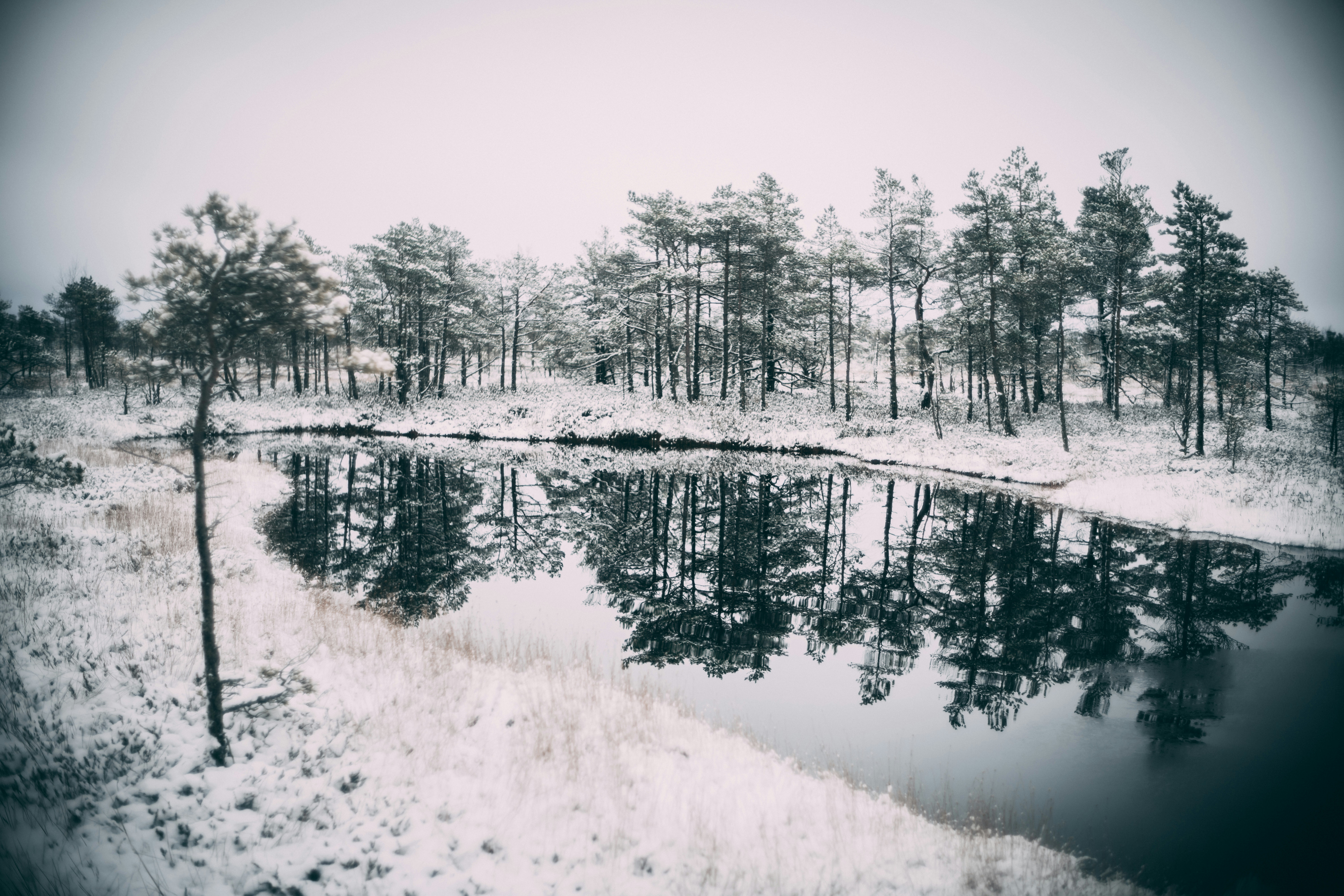 Photo by raimondklavins