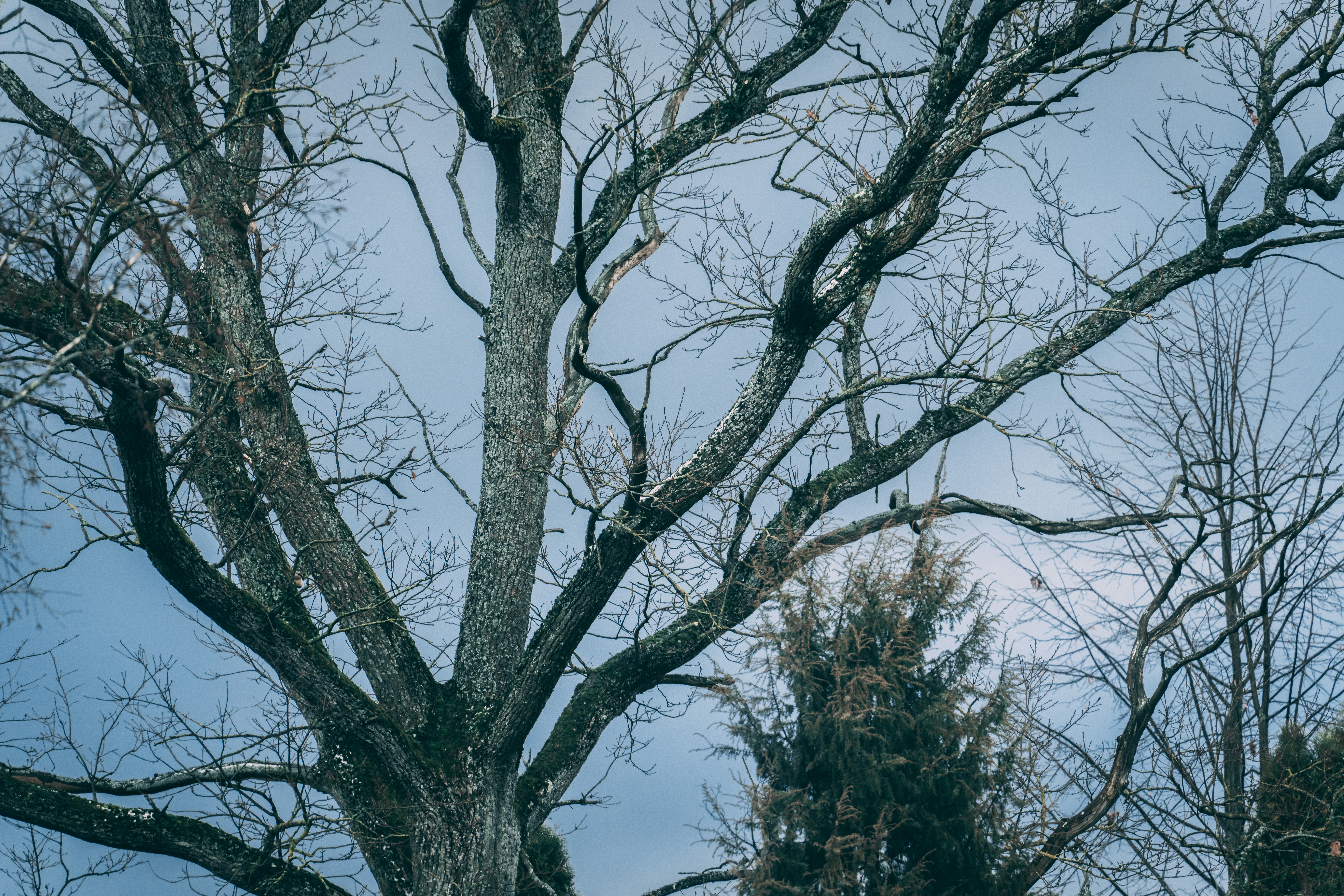 Photo by raimondklavins