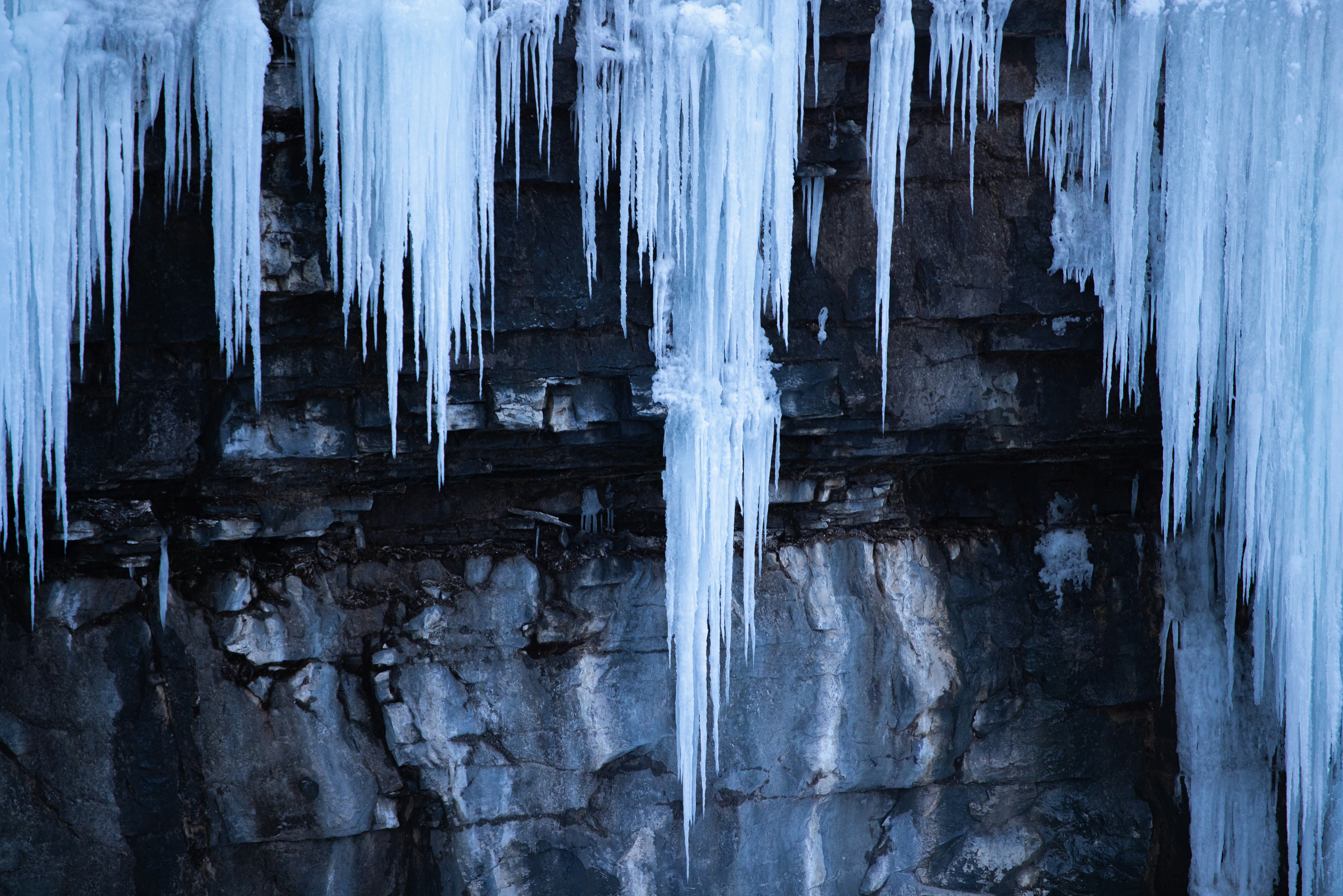 Photo by capturesawyer