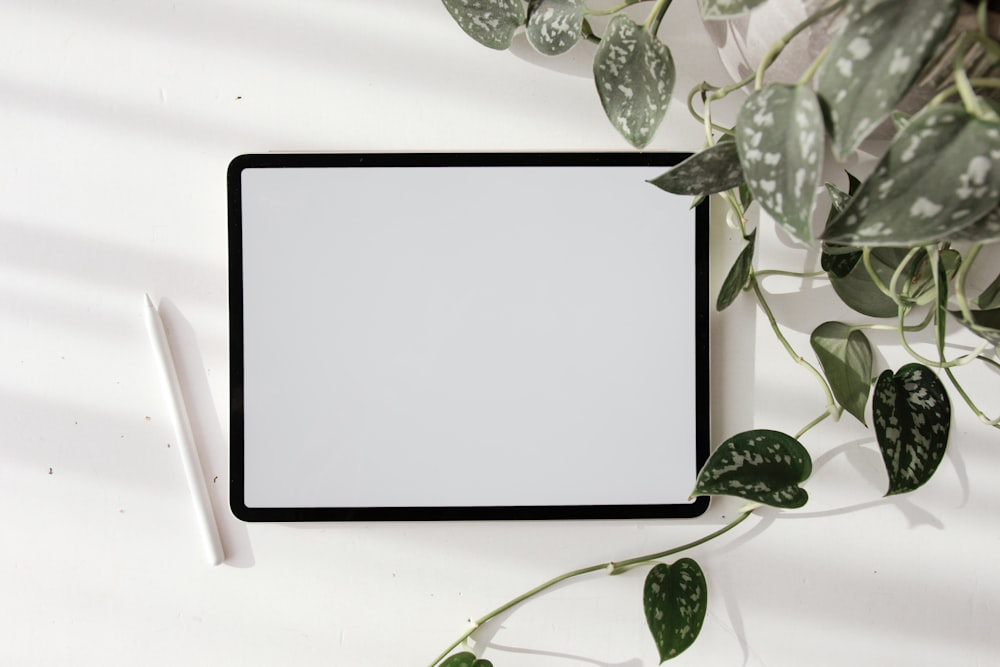 a black and white picture frame next to a green plant