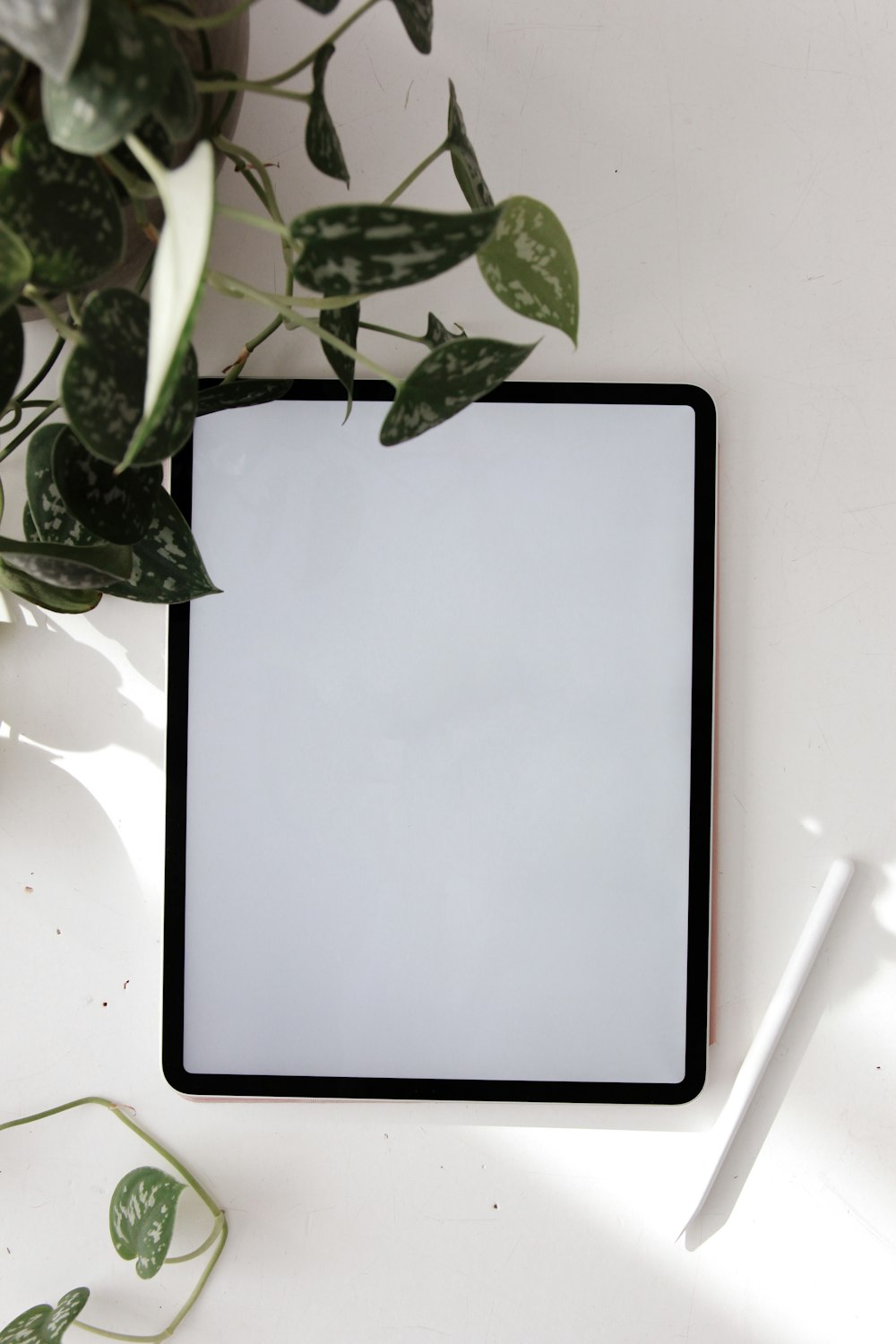 a picture frame sitting on top of a table next to a plant