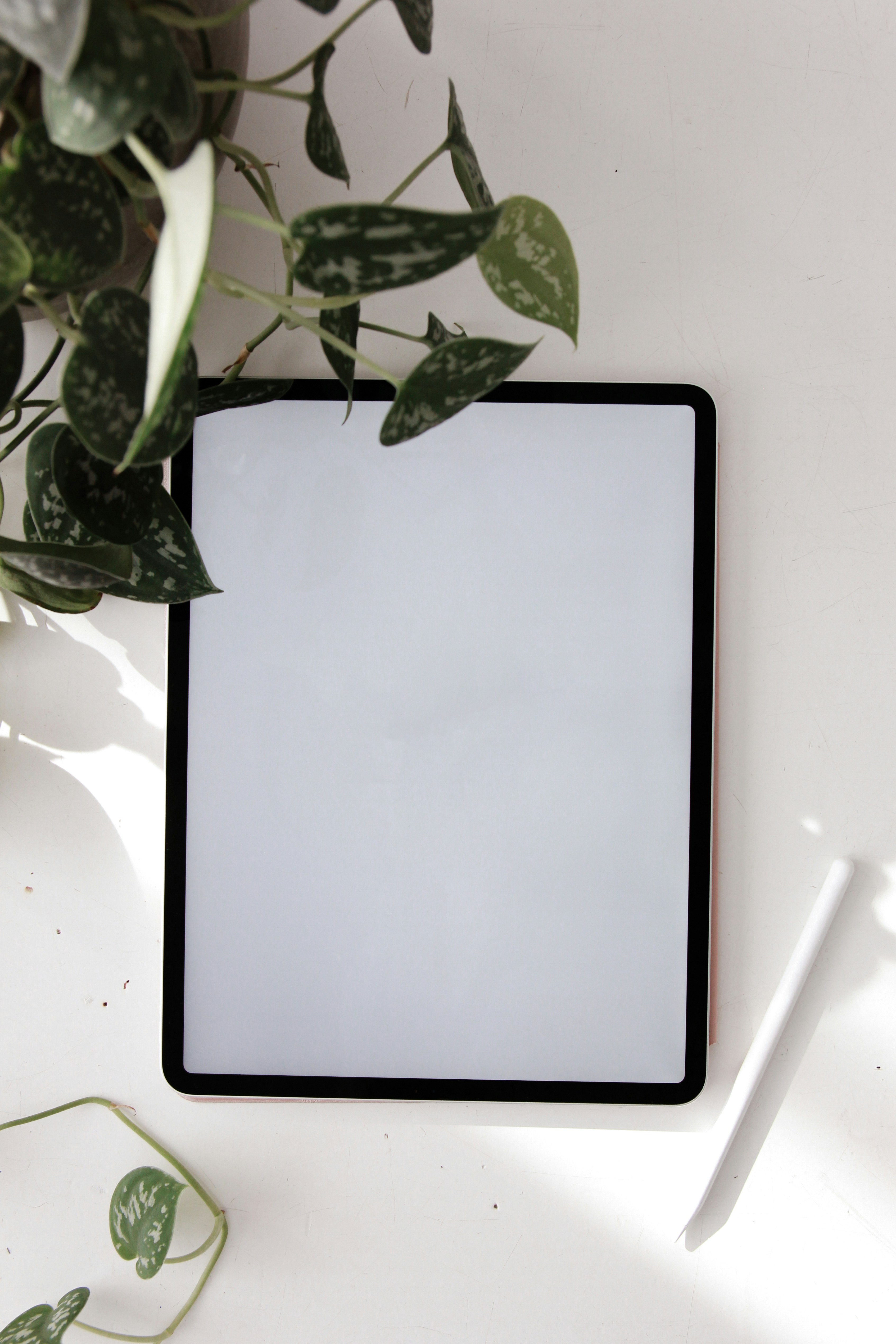 iPad mockup with greenery
