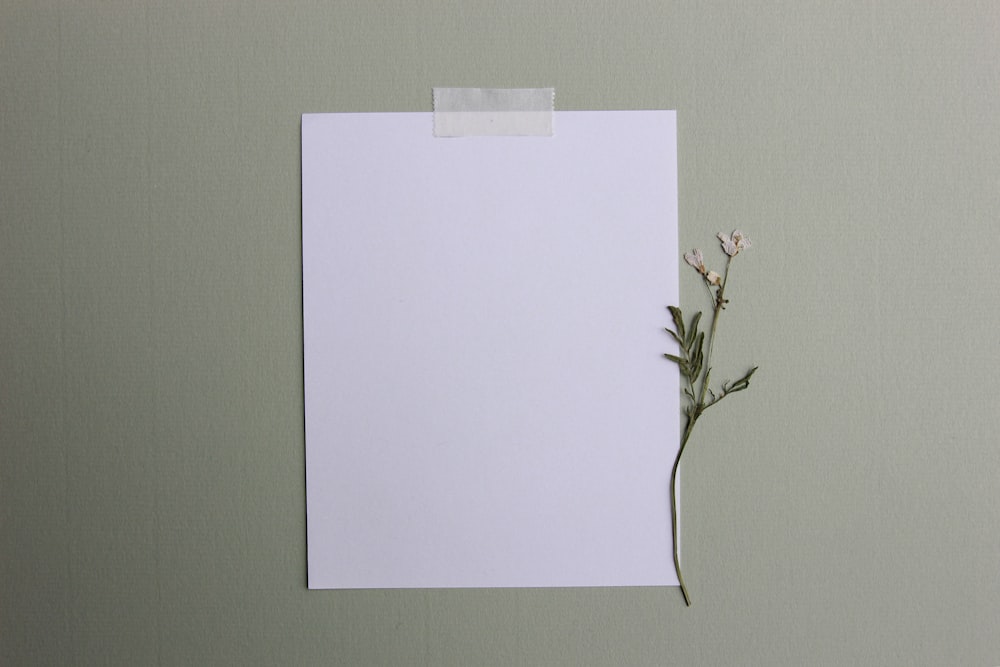 a piece of paper with a flower sticking out of it