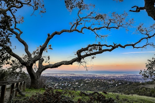 Redwood City — furnished monthly rentals