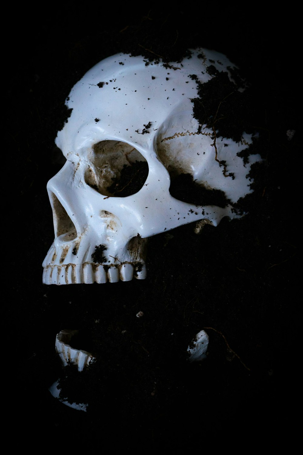 a white skull with a hole in the middle of it