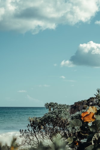 Marigot Bay Resort & Marina by Capella resort