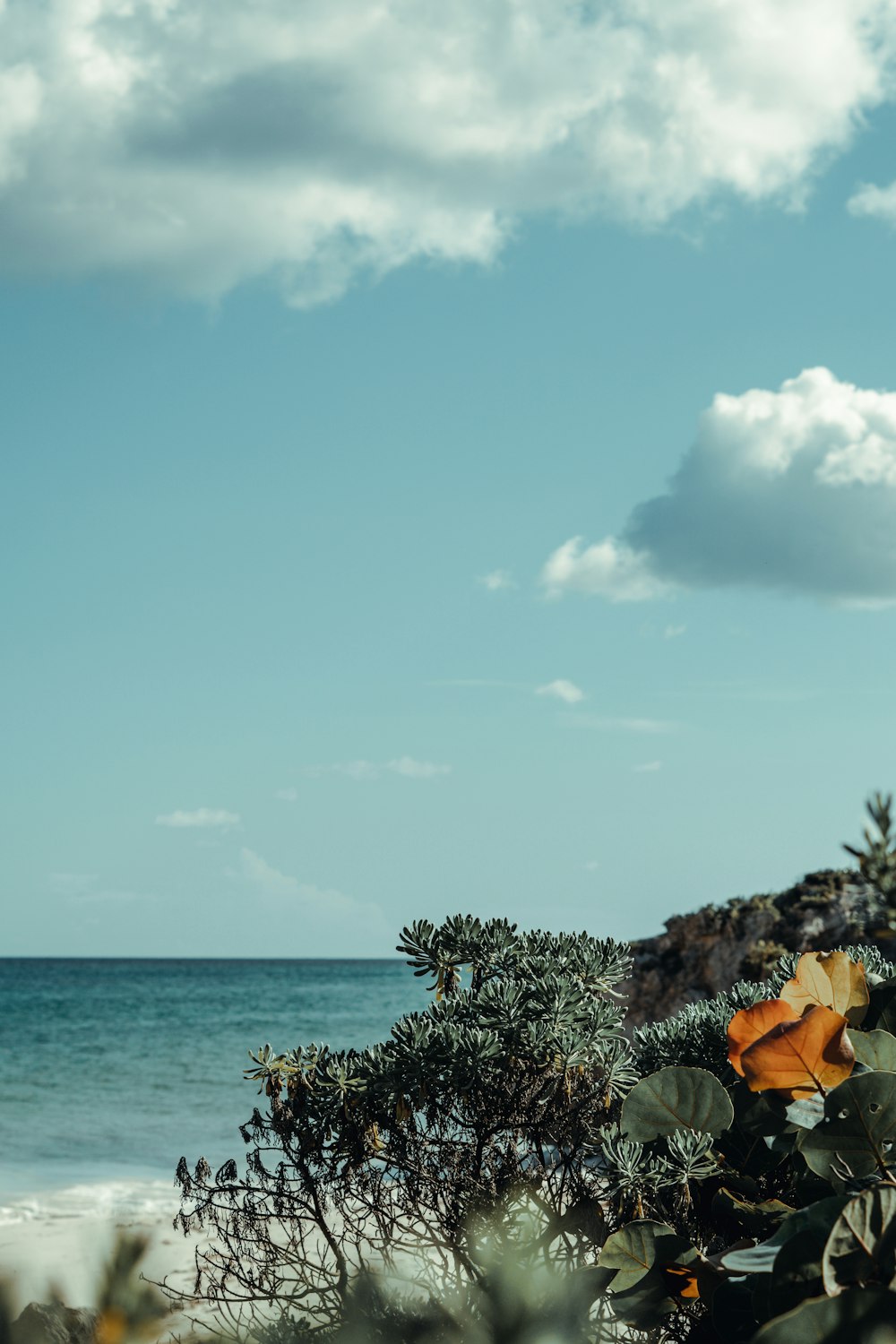 a view of the ocean from a beach