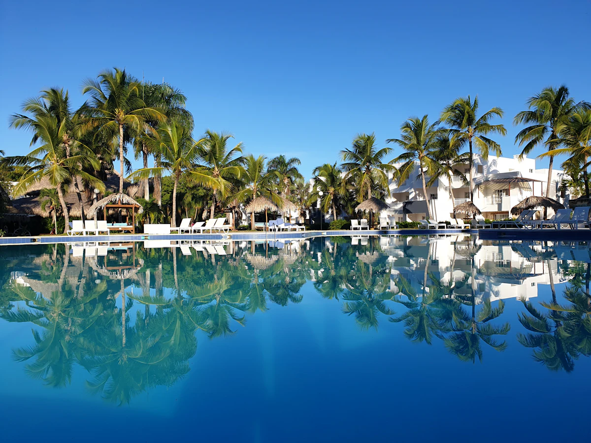 Family swimming pool surrounded by palm trees
